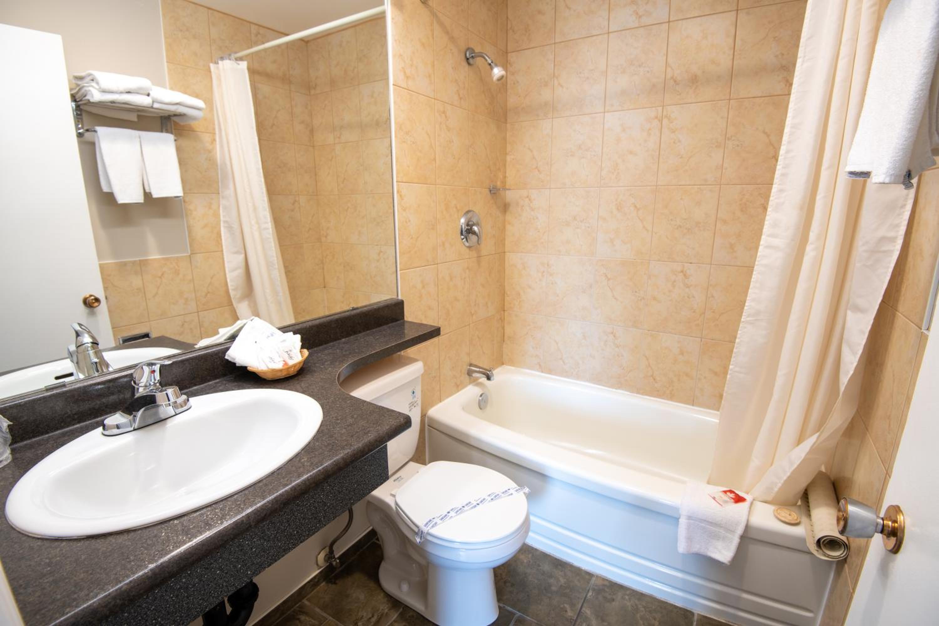 One-Bedroom Suite photo 3