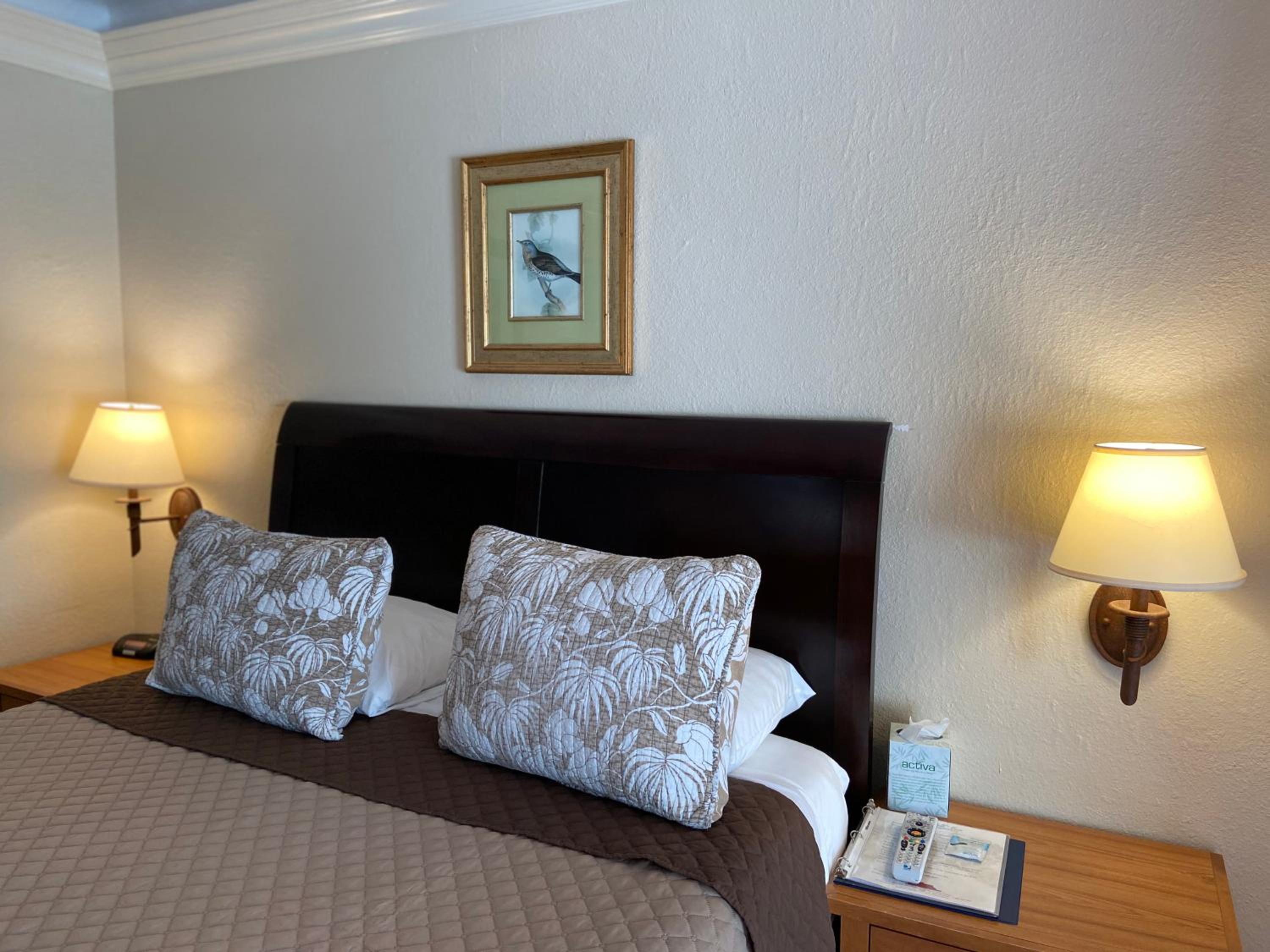 Deluxe Queen Room photo 1