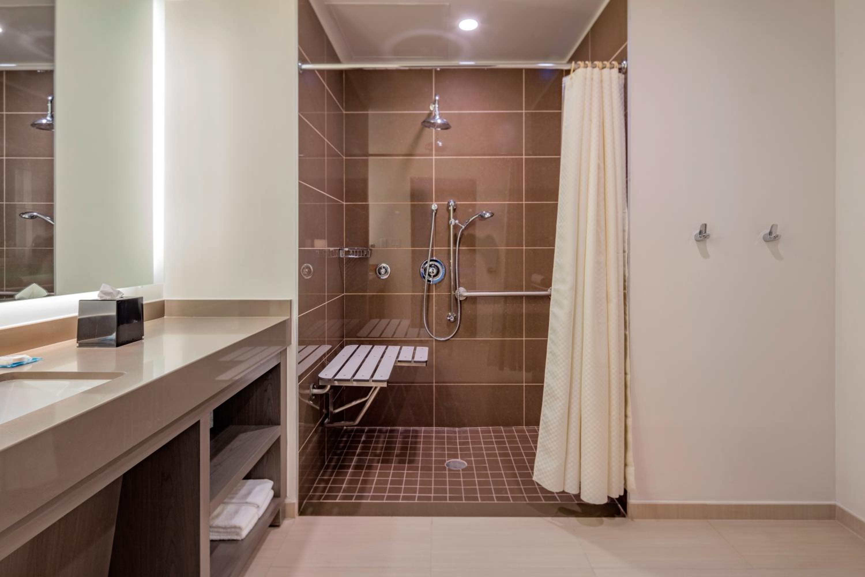 King Room with Roll-In Shower - Disability Access photo 3