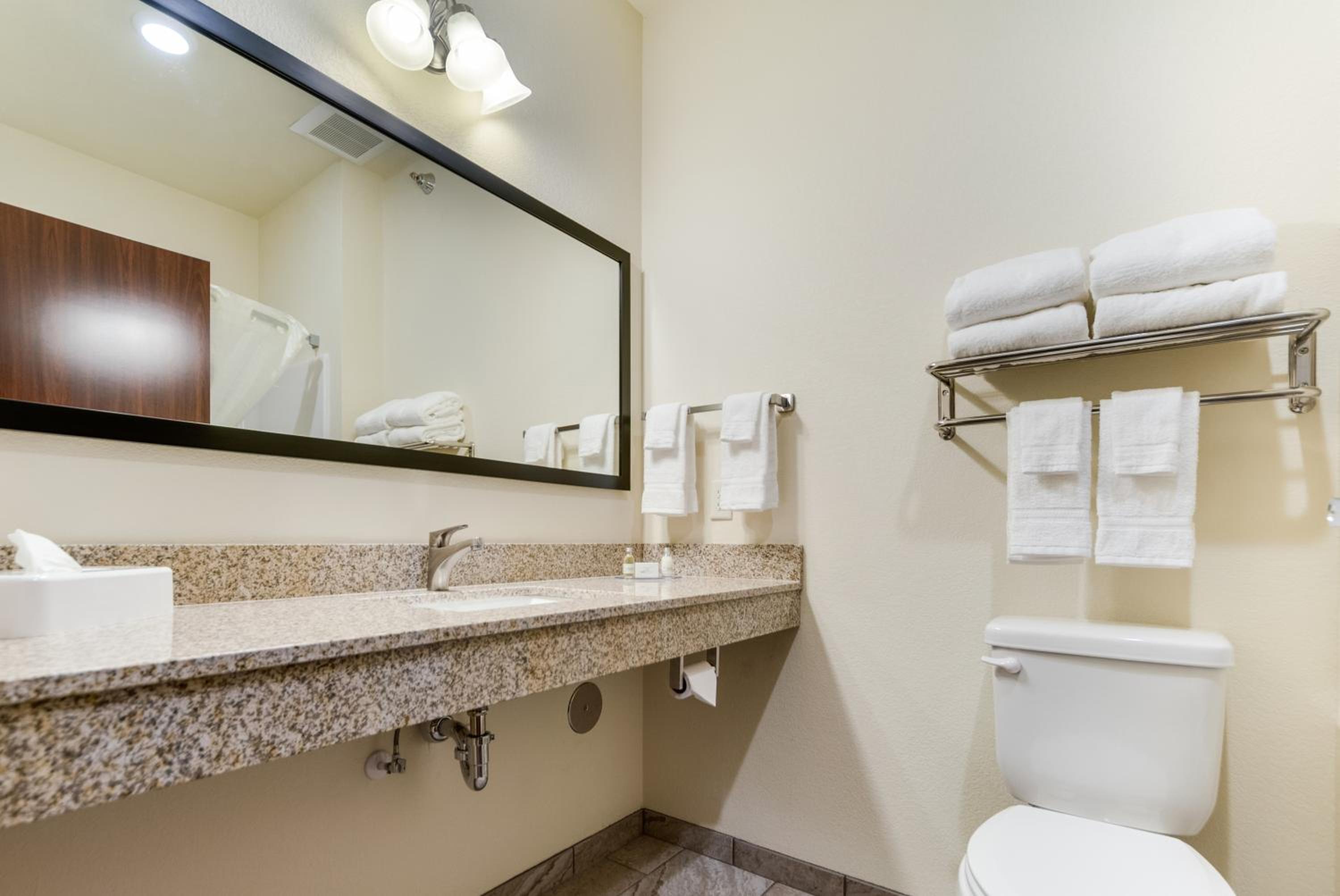 One-Bedroom Suite - Photo 2