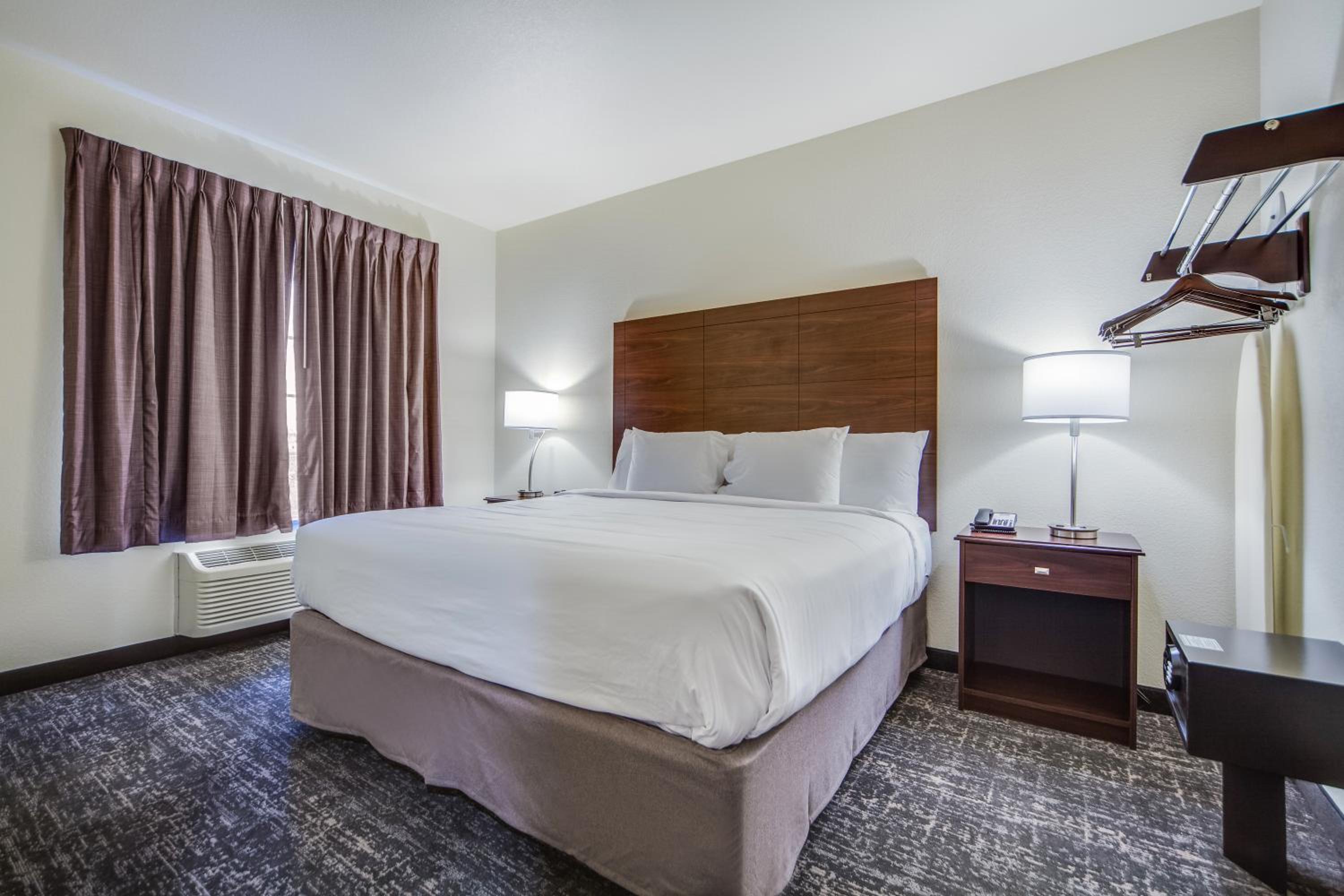 One-Bedroom Suite - Photo 4