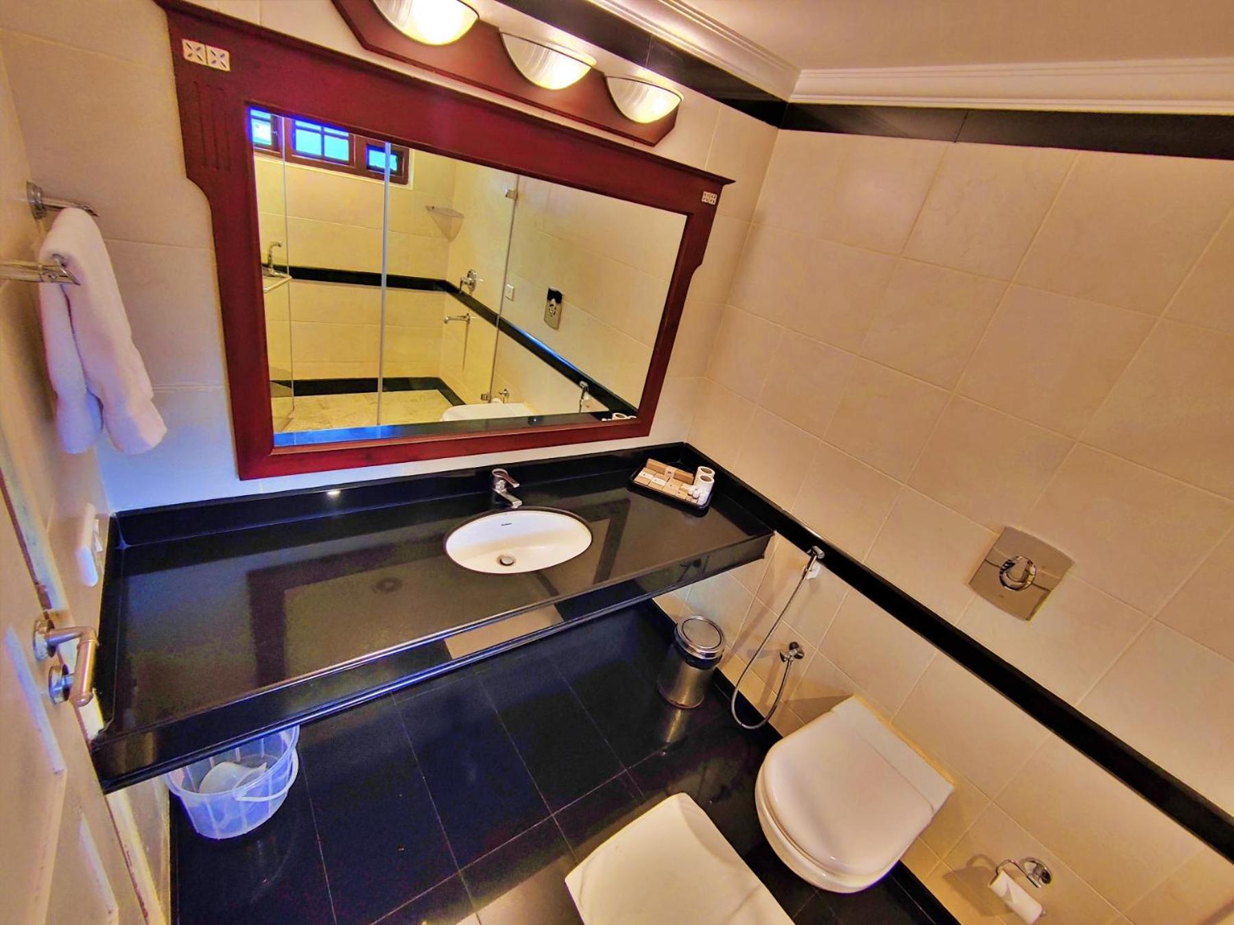 Deluxe Double or Twin Room photo 3