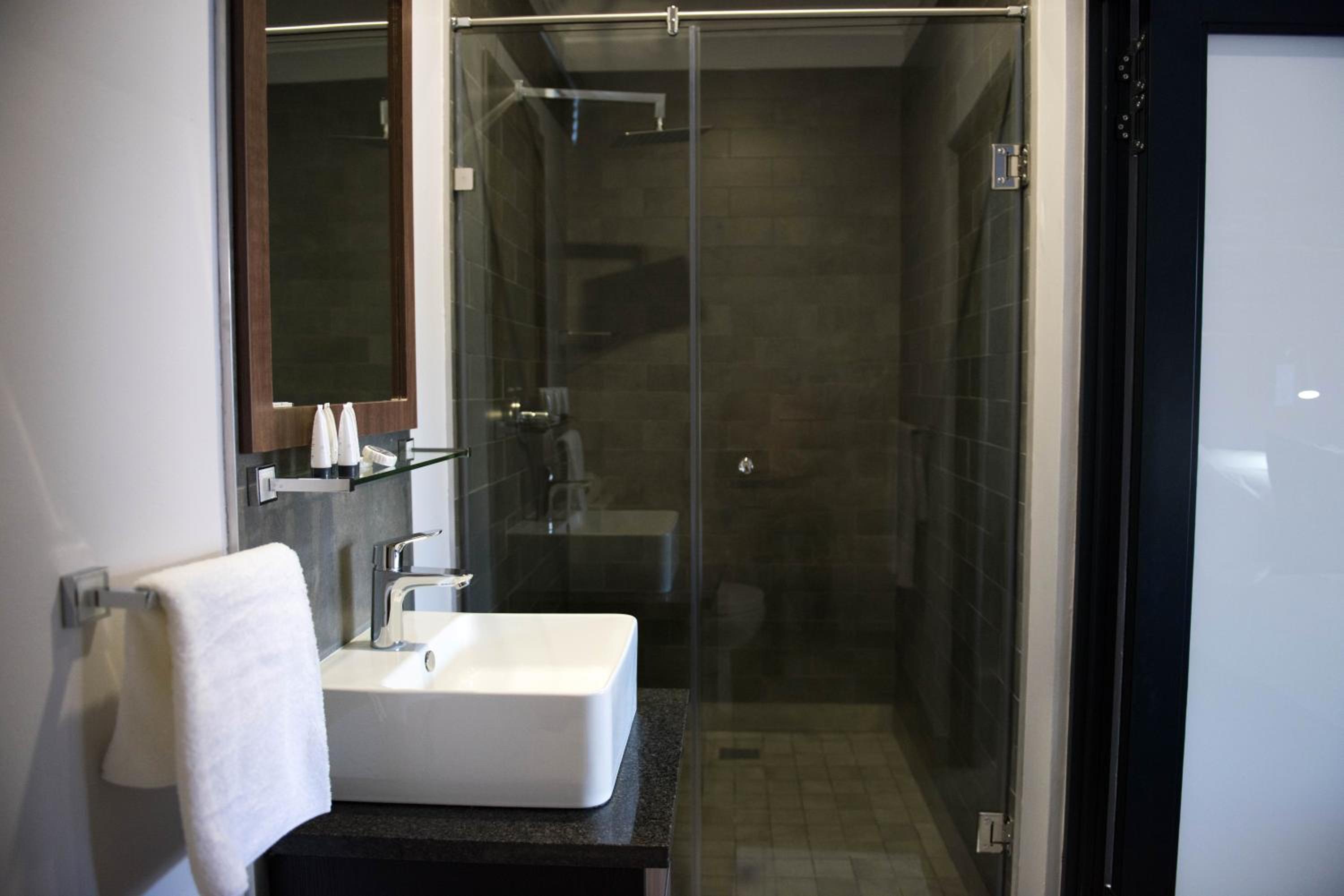 Deluxe Double or Twin Room photo 2