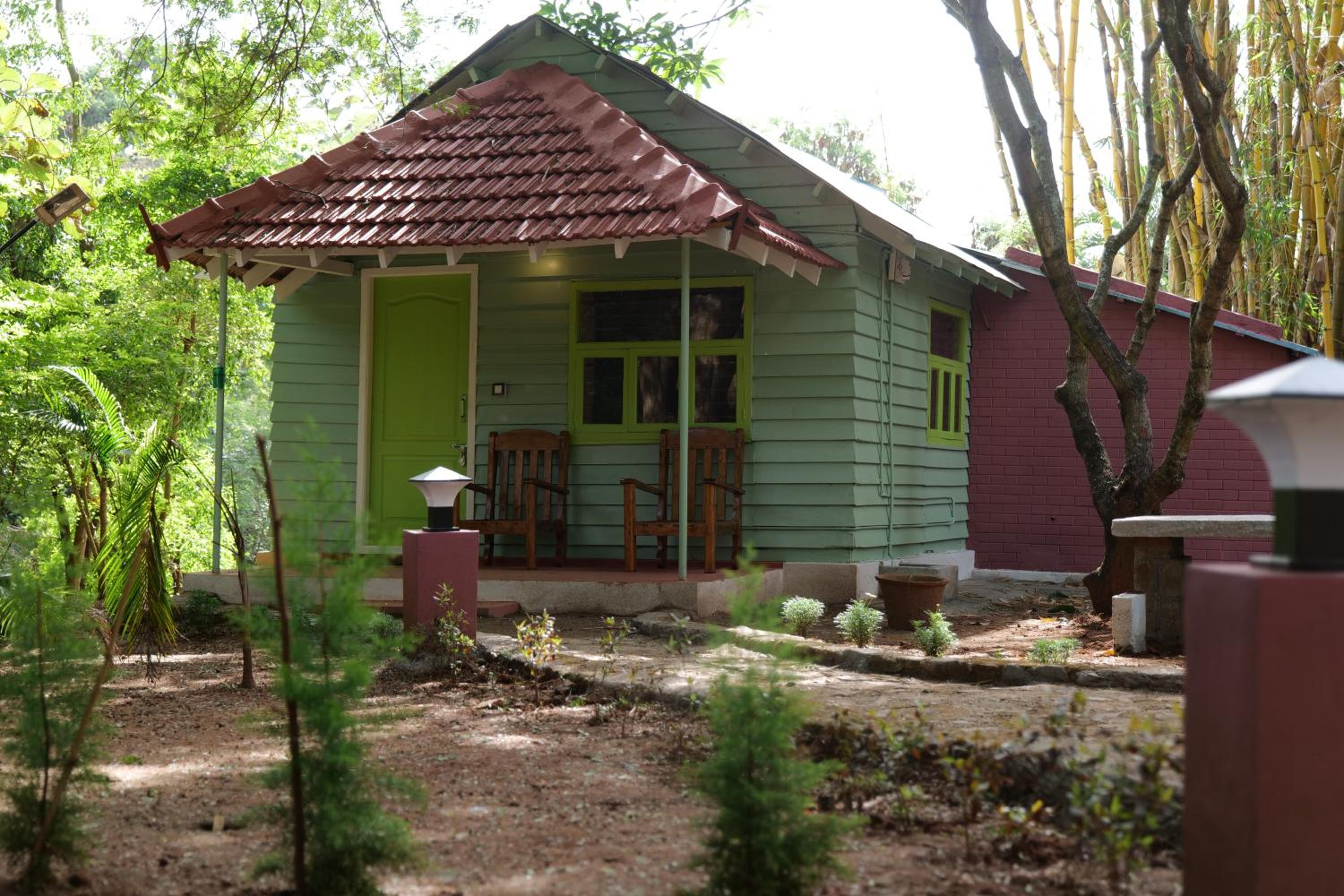 Standard Double Room - Photo 4