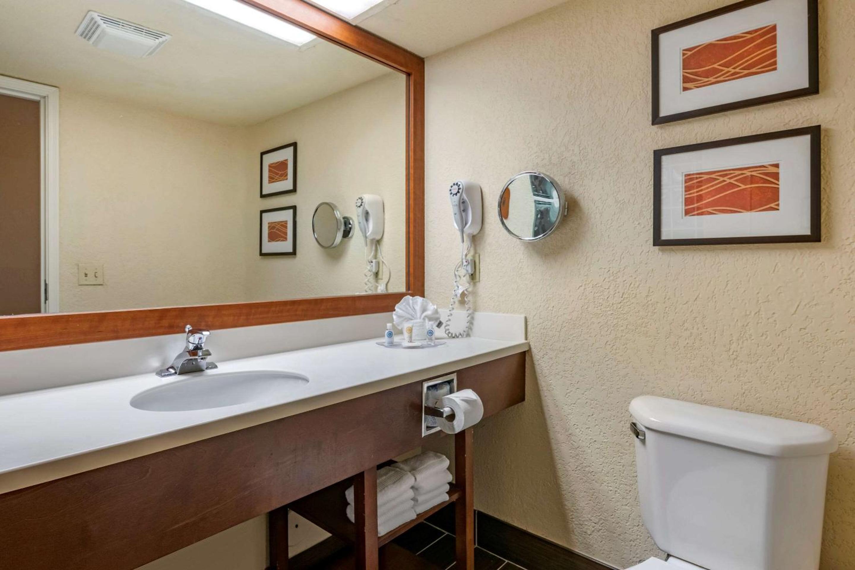 King Suite - Photo 4