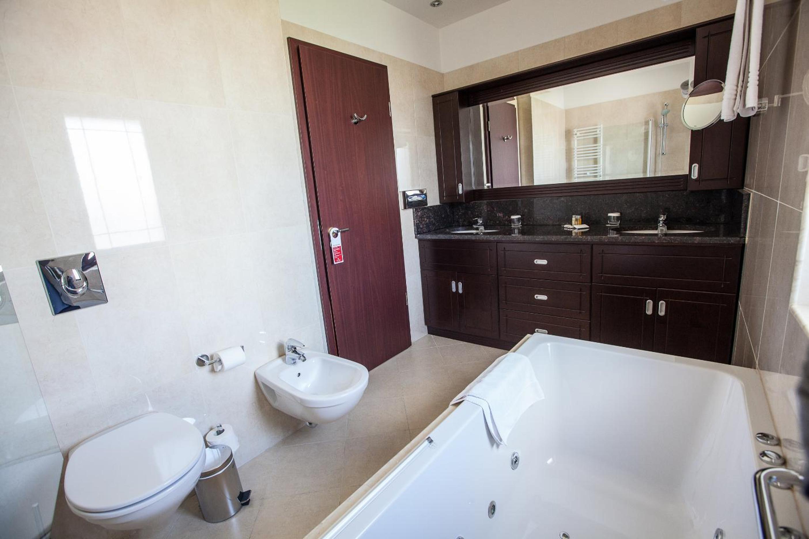 Two Room King Suite with Kitchenette thumbnail 5