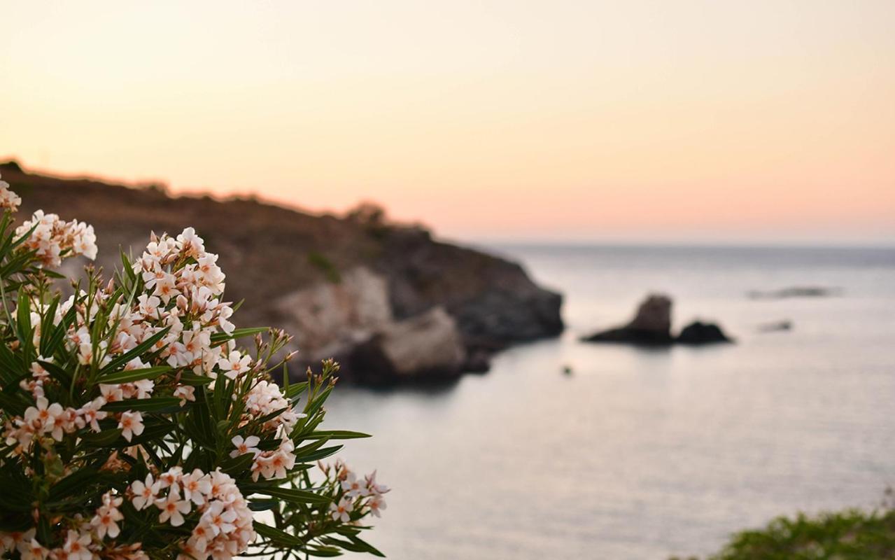 Vacation Home - Photo 8