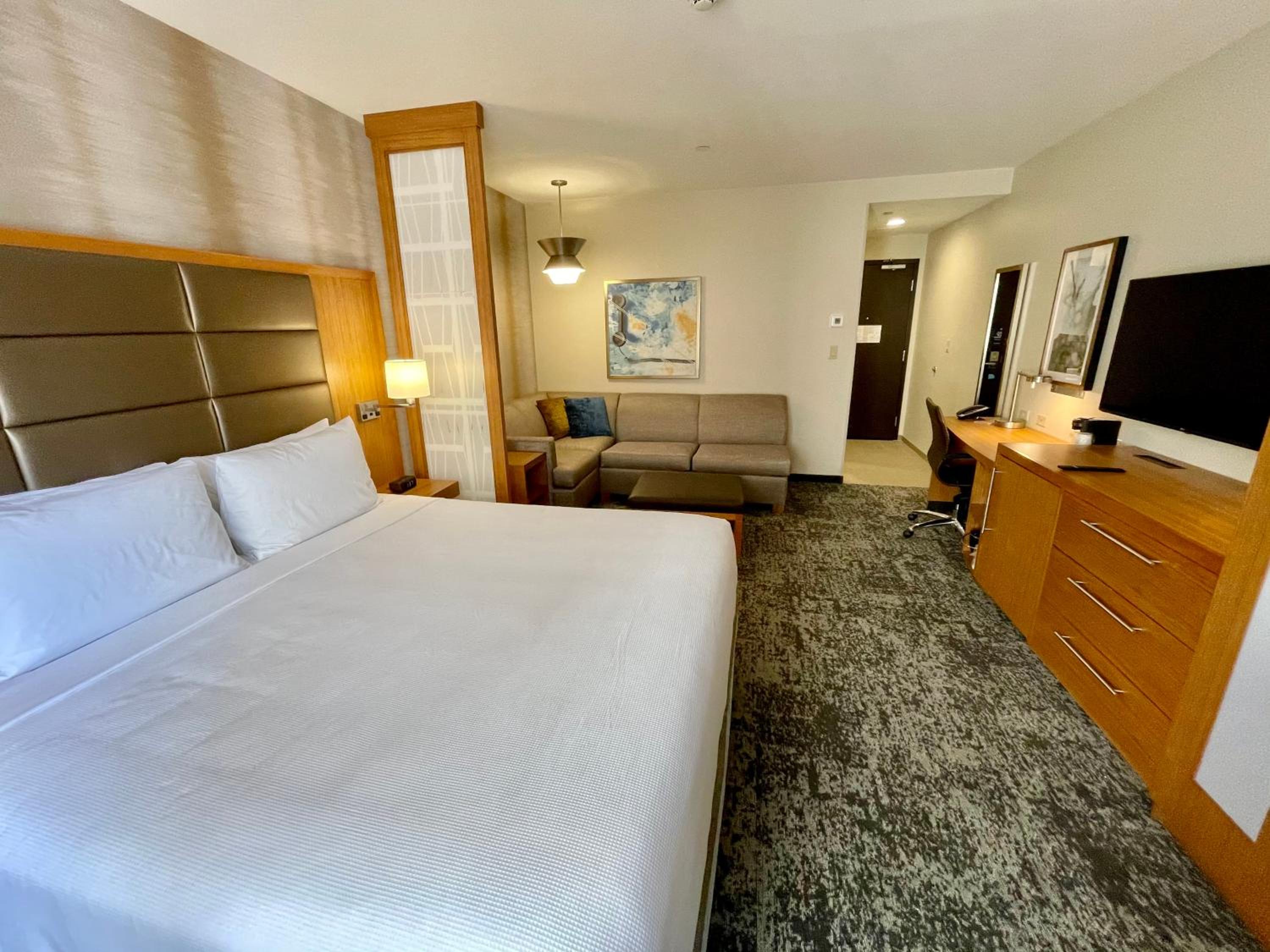 Specialty King Room with Sofa Bed - Photo 10