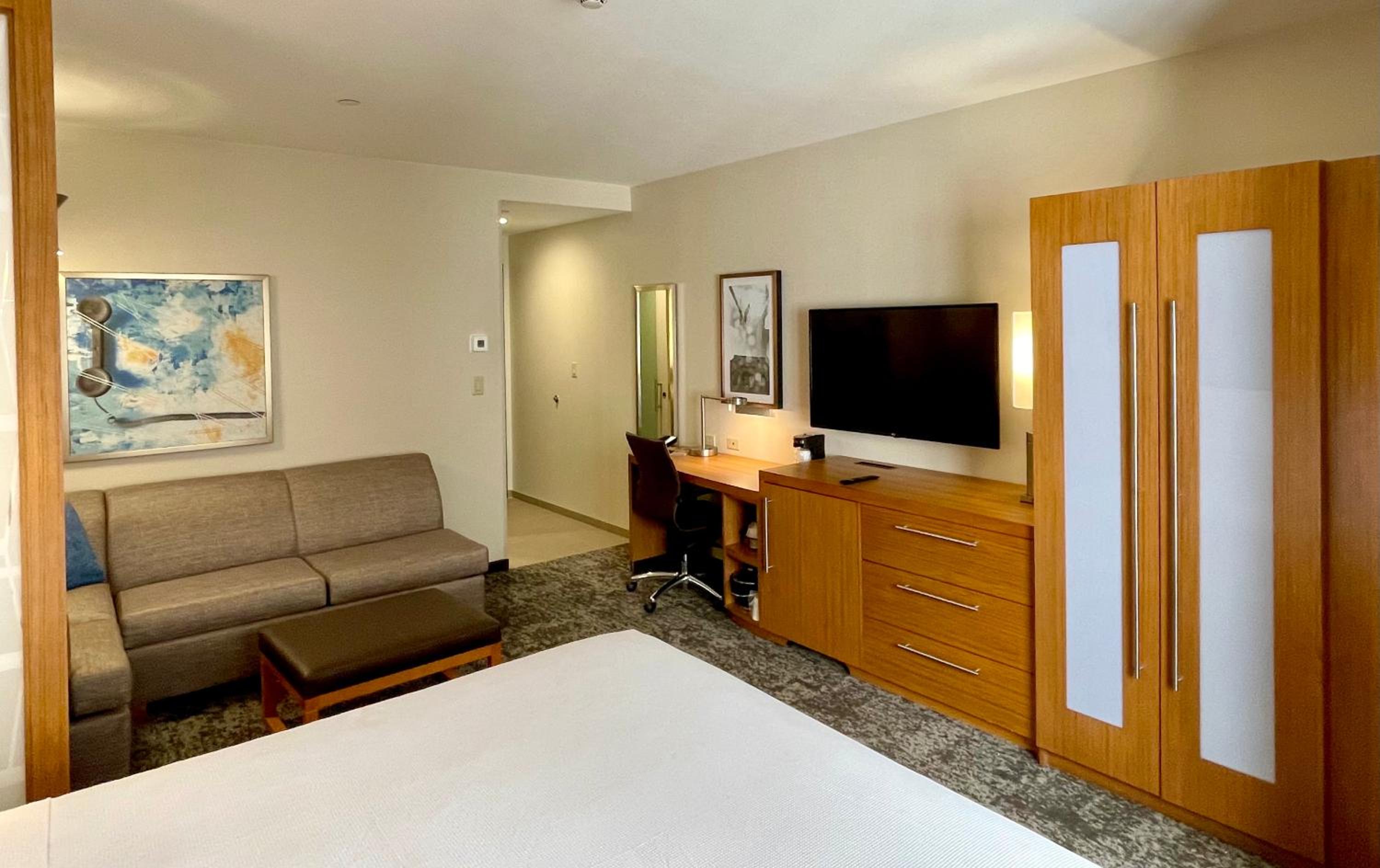 Specialty King Room with Sofa Bed - Photo 11