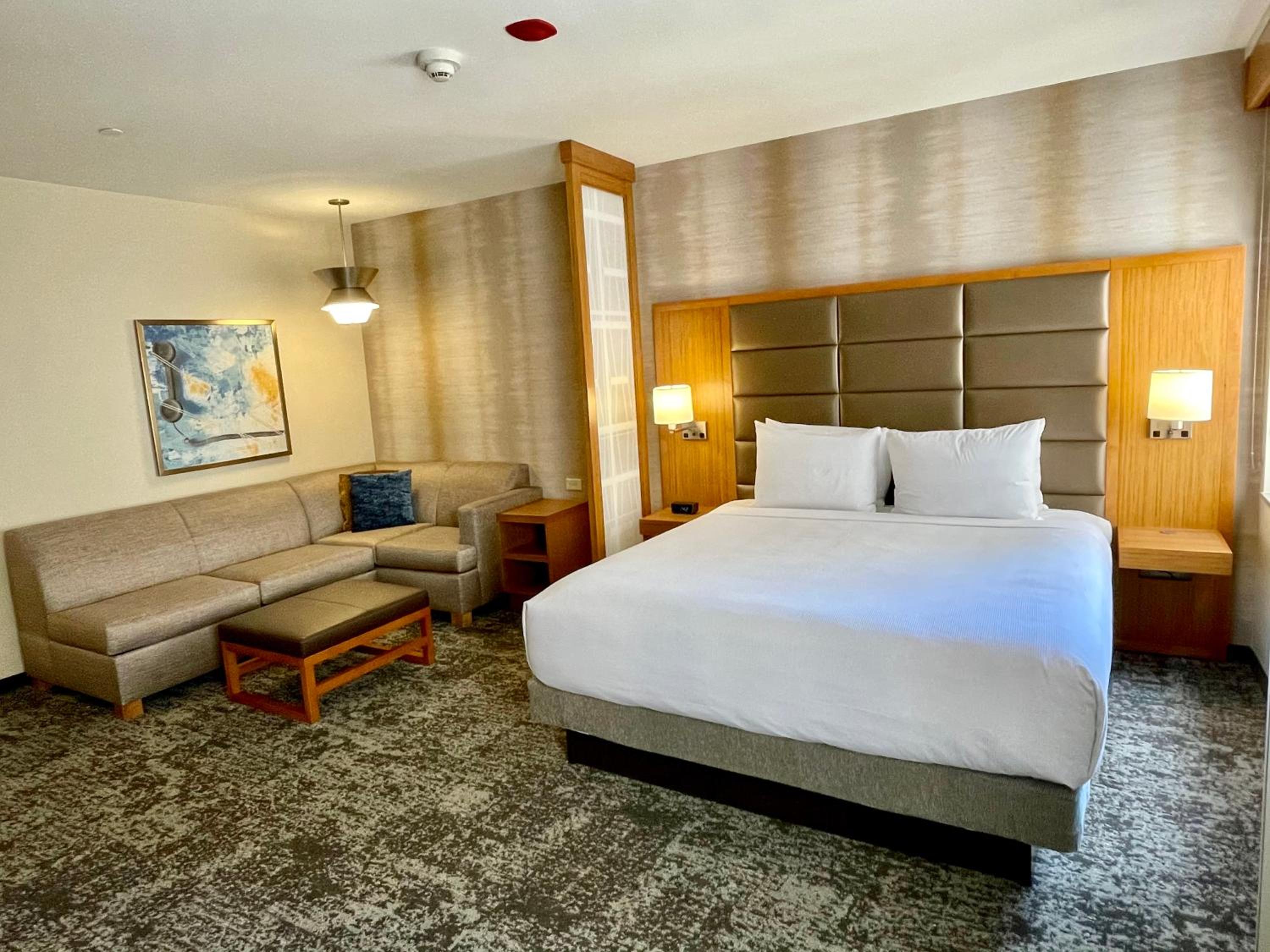 Specialty King Room with Sofa Bed - Photo 8