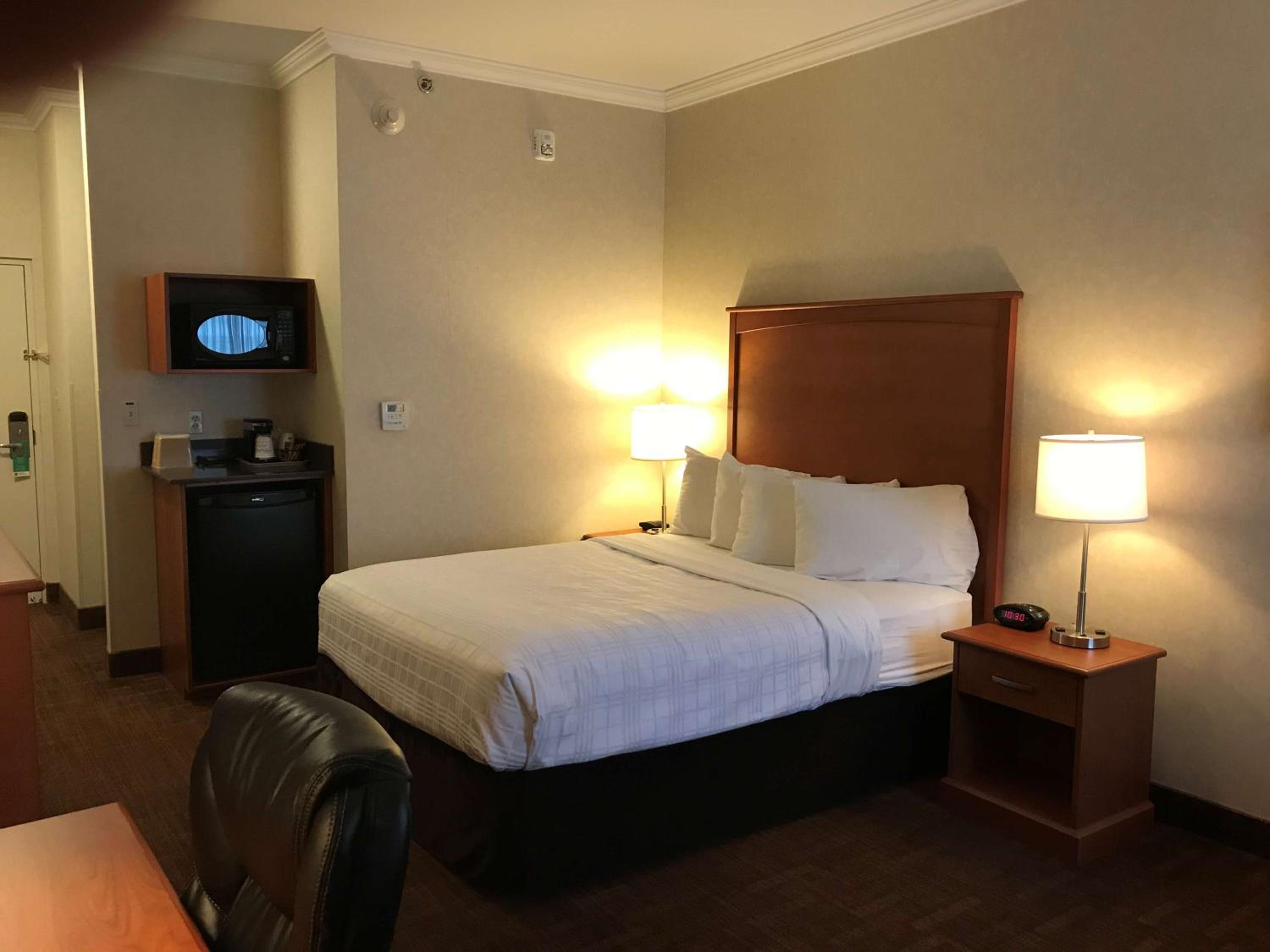 Business Plus Queen Room - Non-Smoking