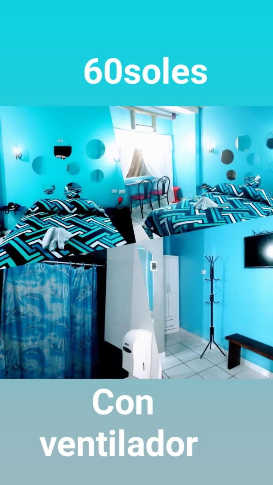 Single Room photo 1