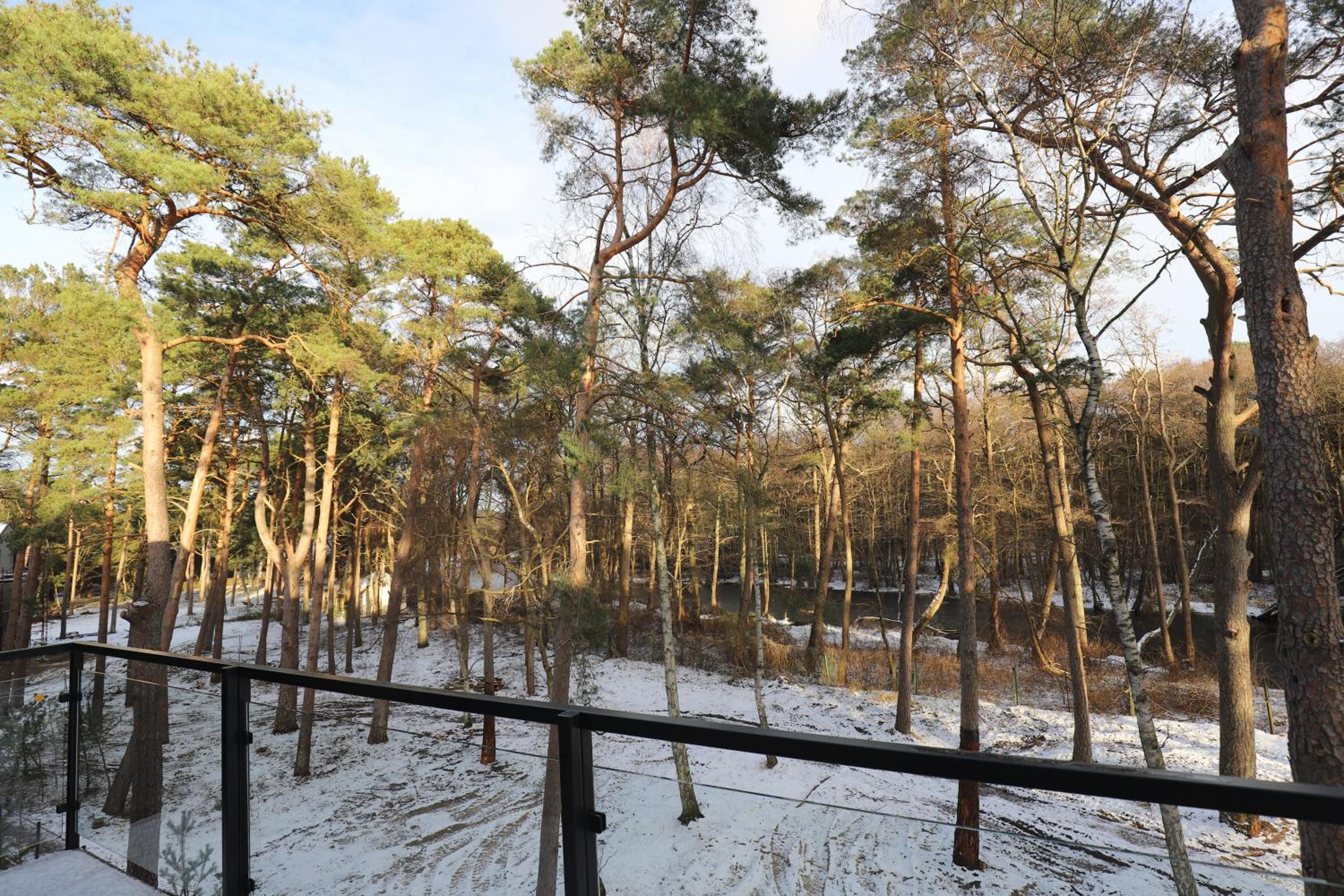 Apartment with Garden View photo 3