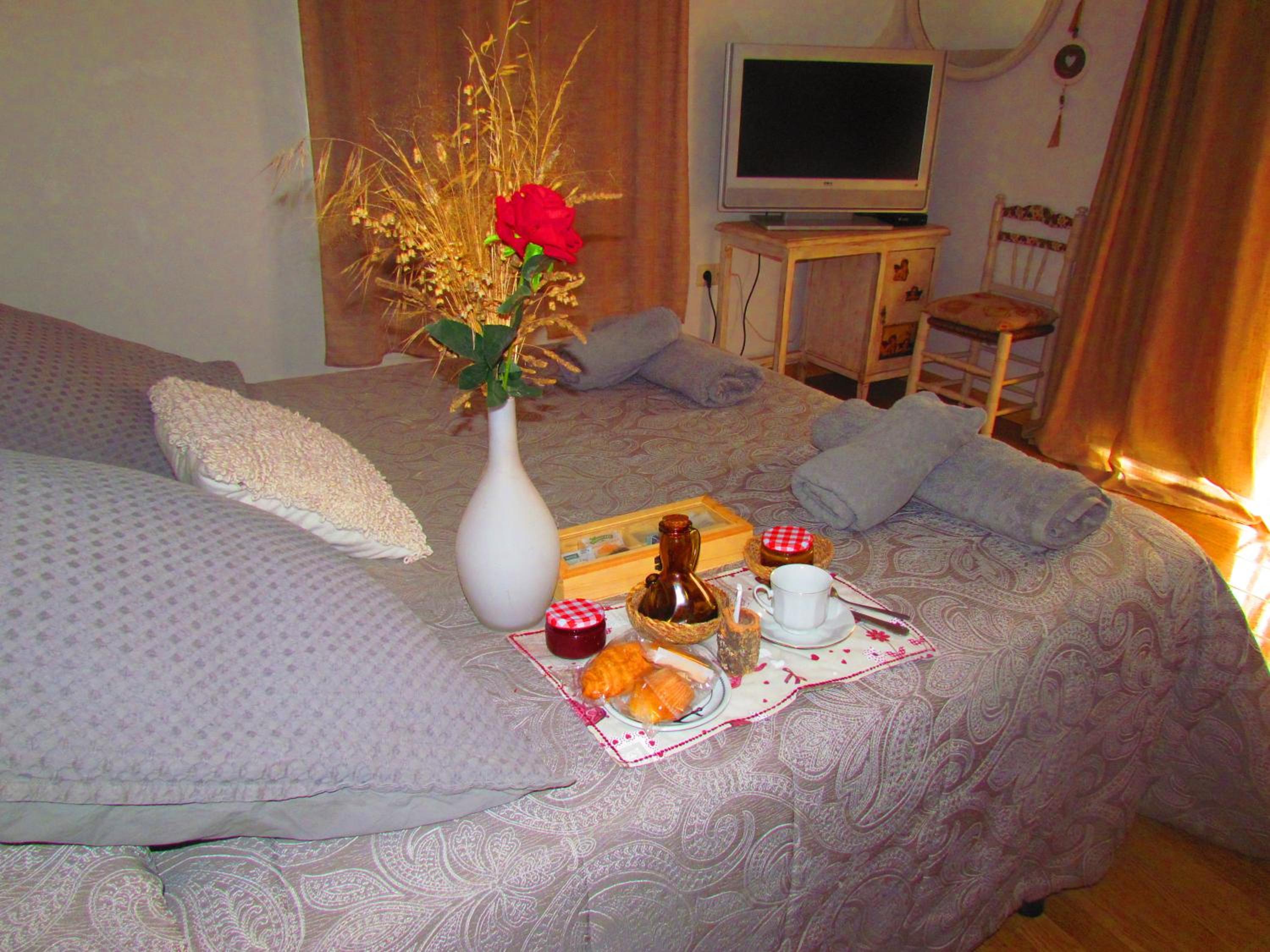 Apartamento con vista al jardín