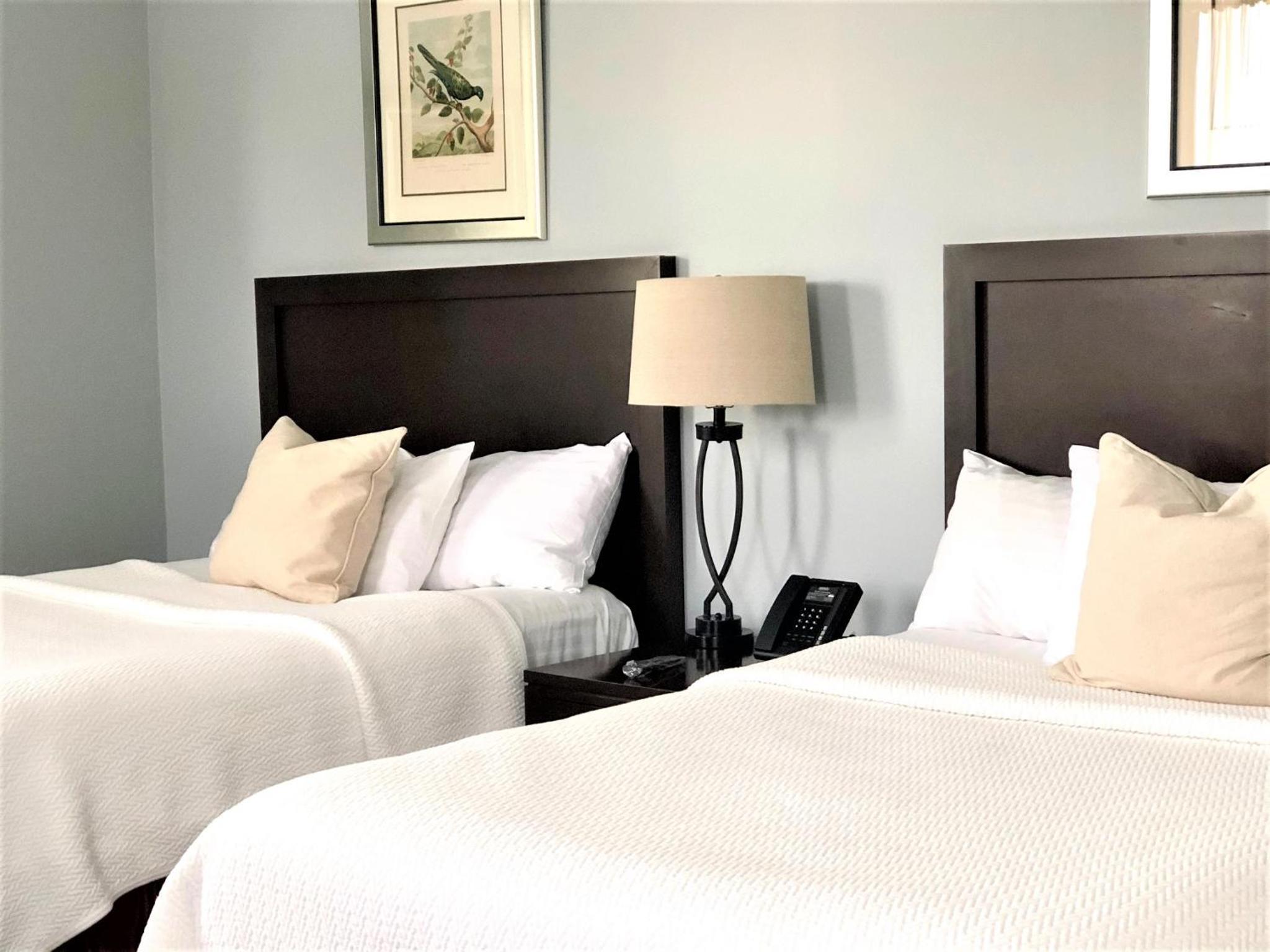 Family Suite photo 1