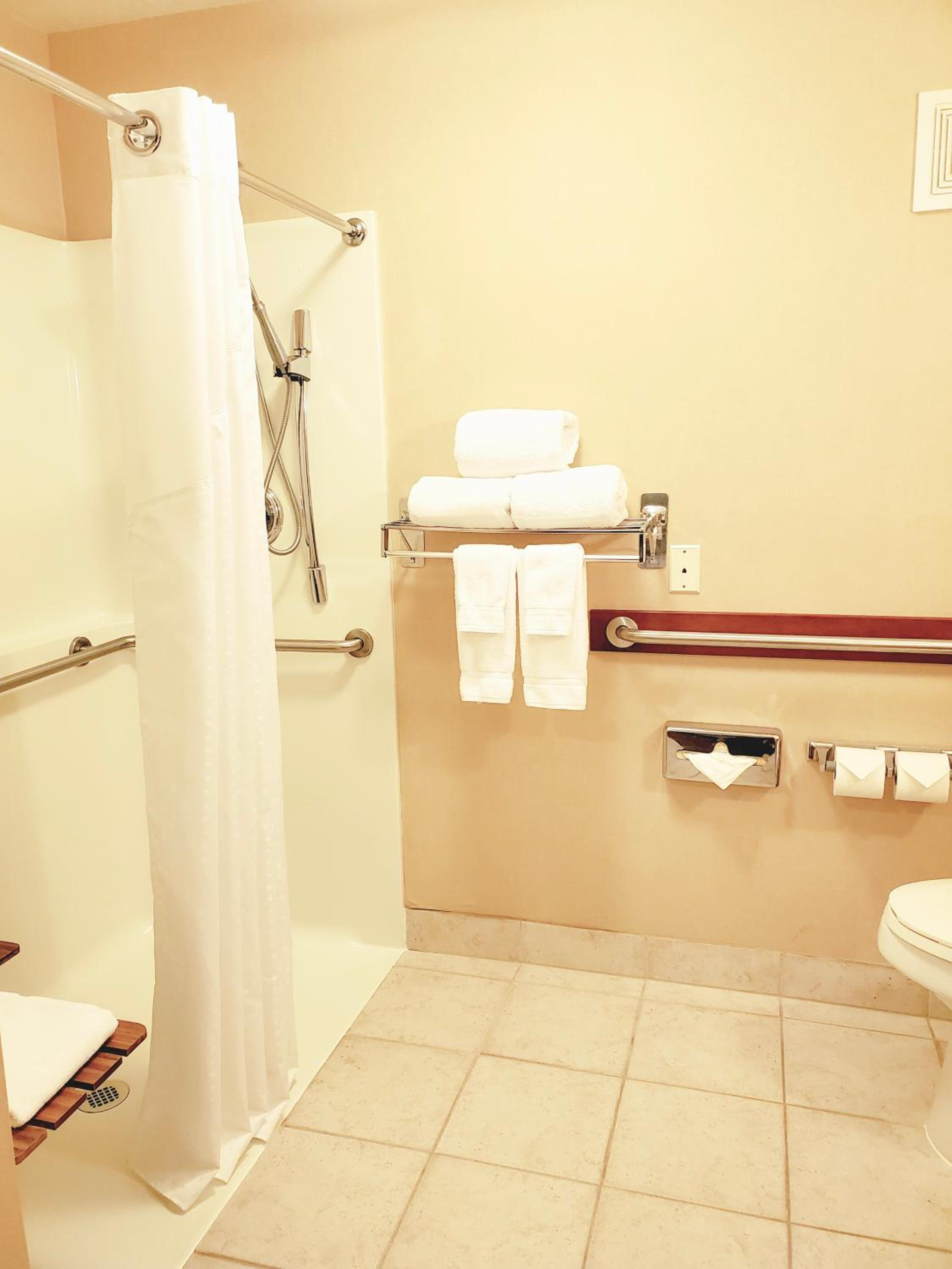 Standard King Room with Roll-in Shower - Mobility Accessible - Photo 3