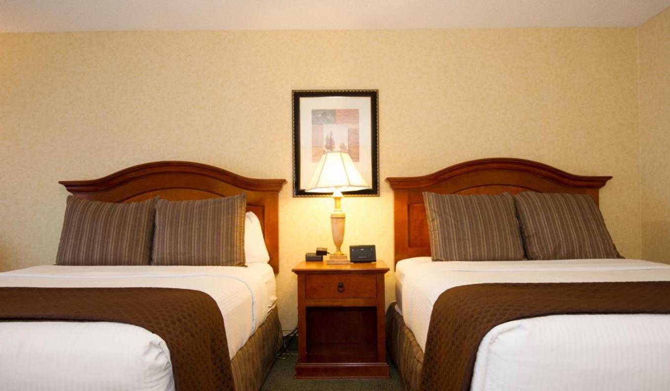 Economy Two Queen Room photo 3
