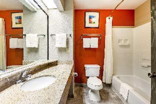 King Room - Non Smoking/Pet Friendly photo 3