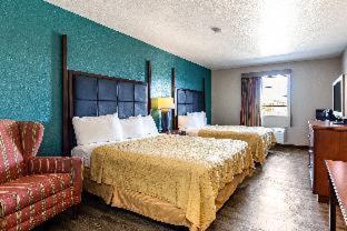 King Room - Non Smoking/Pet Friendly photo 2