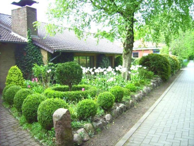 One-Bedroom Apartment with Terrace photo 2