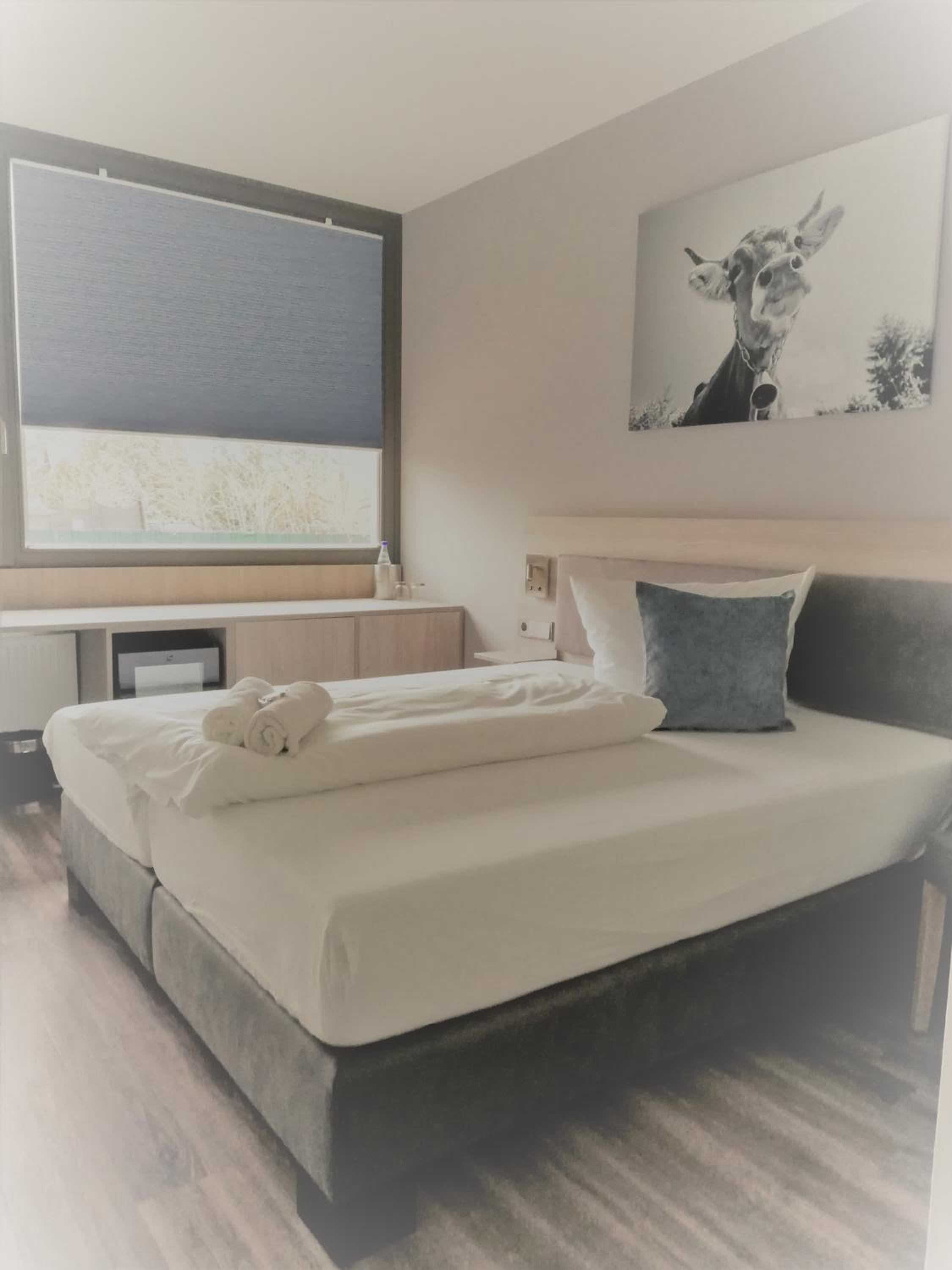 Superior Double Room photo 1