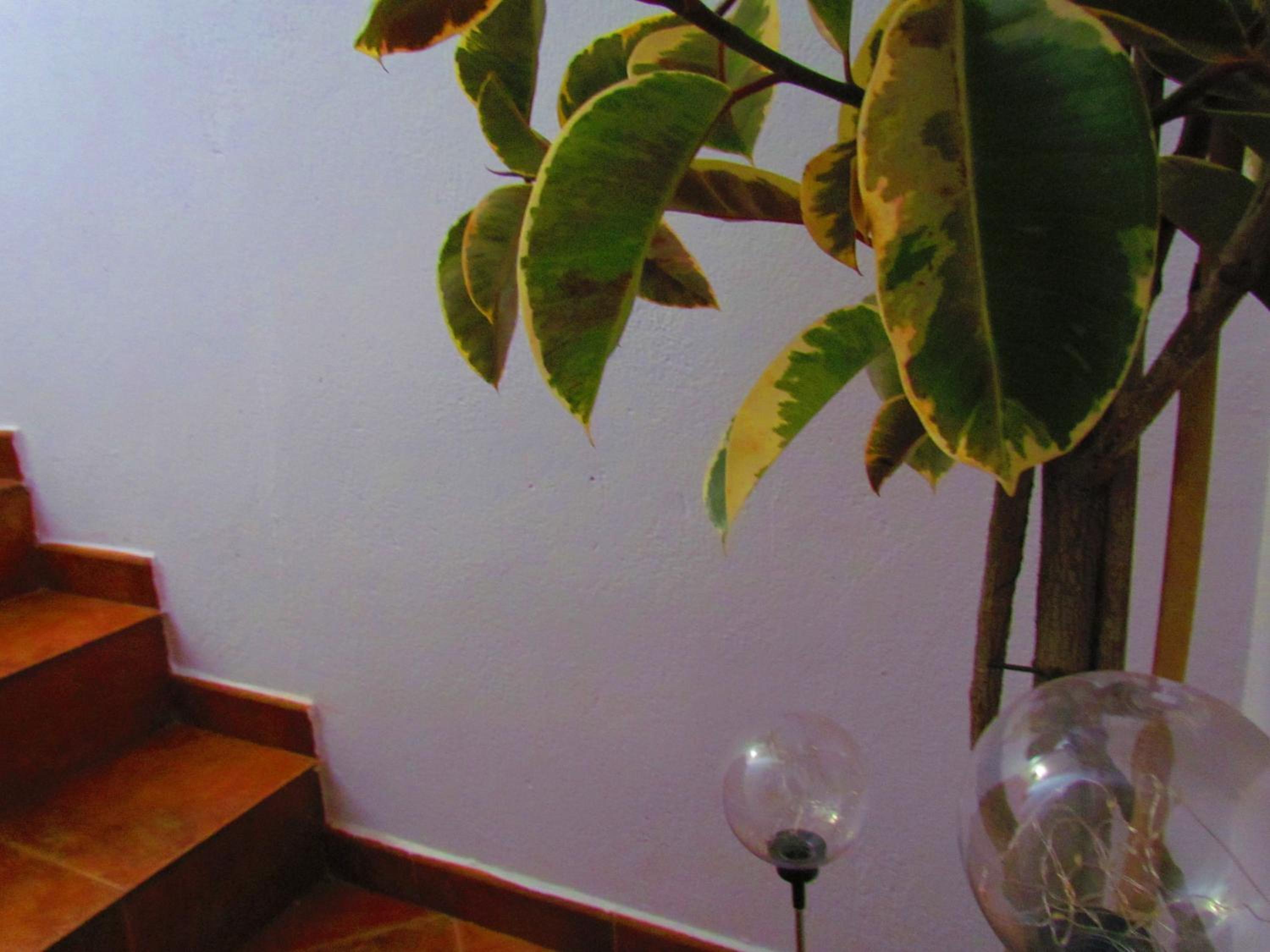 Apartment - Split Level - Photo 44