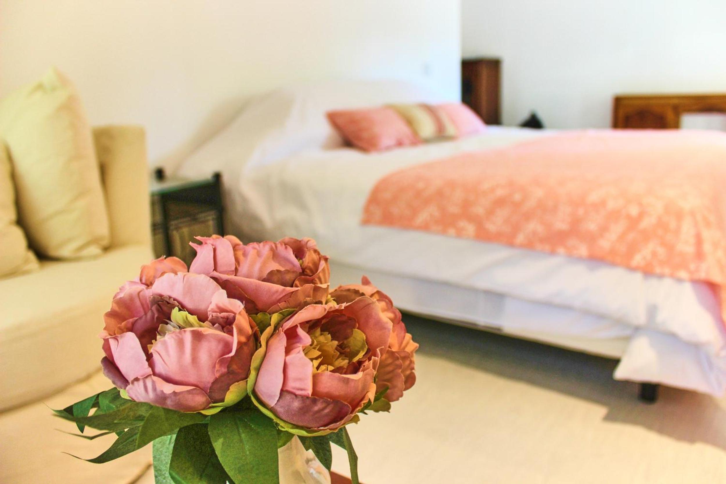 King Room with Garden View photo 3