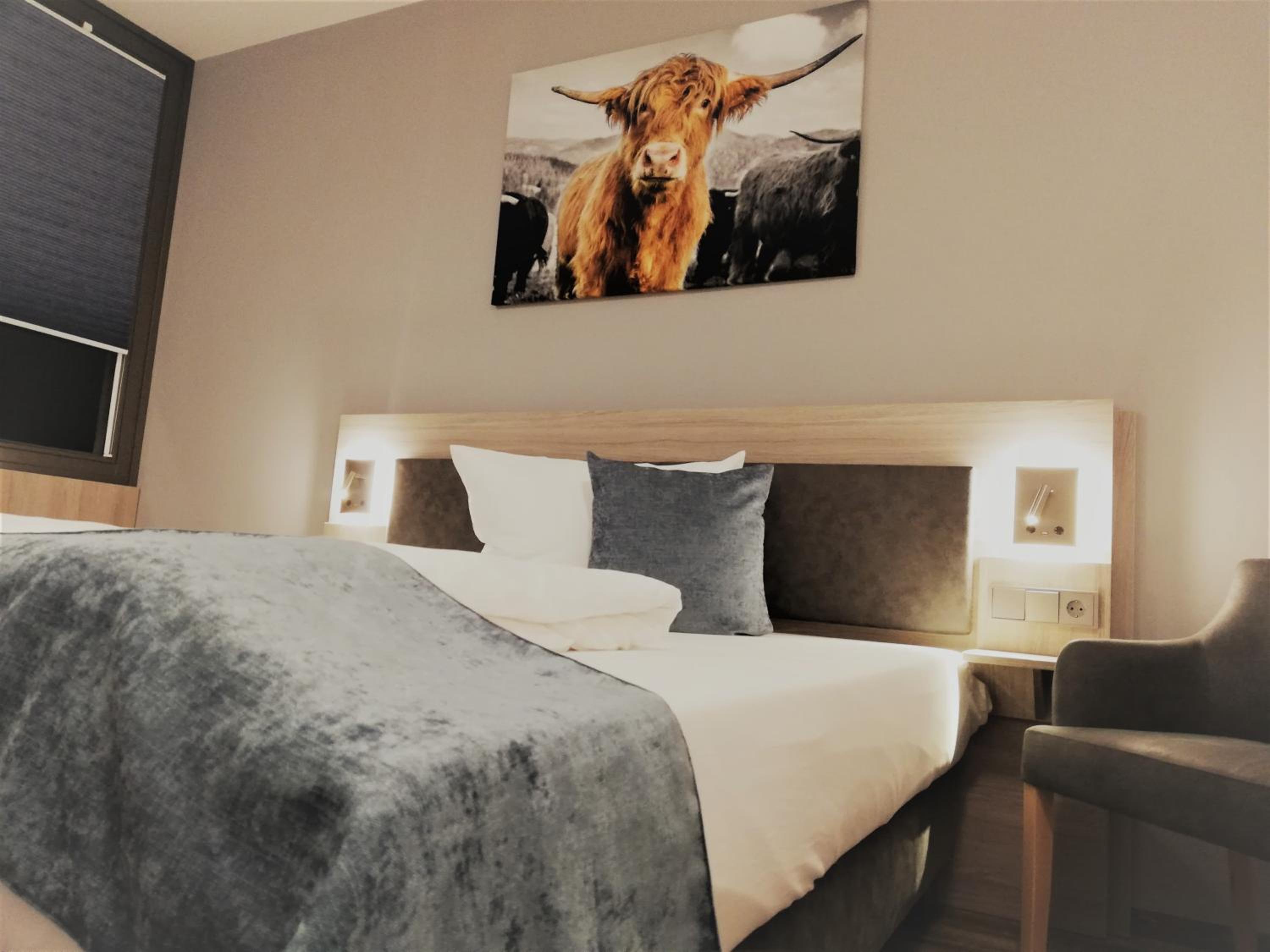 Superior Single Room photo 1