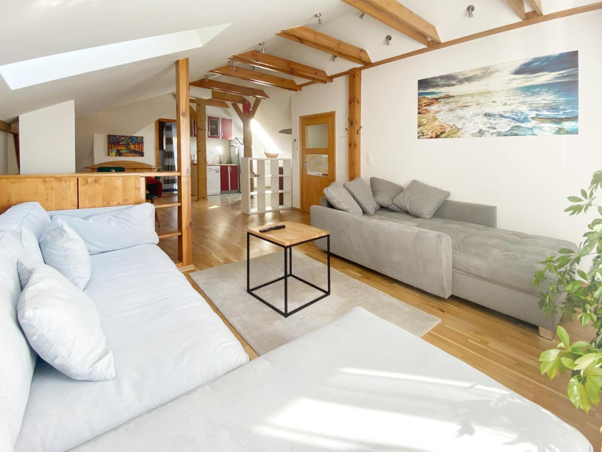 One-bedroom Loft Apartment