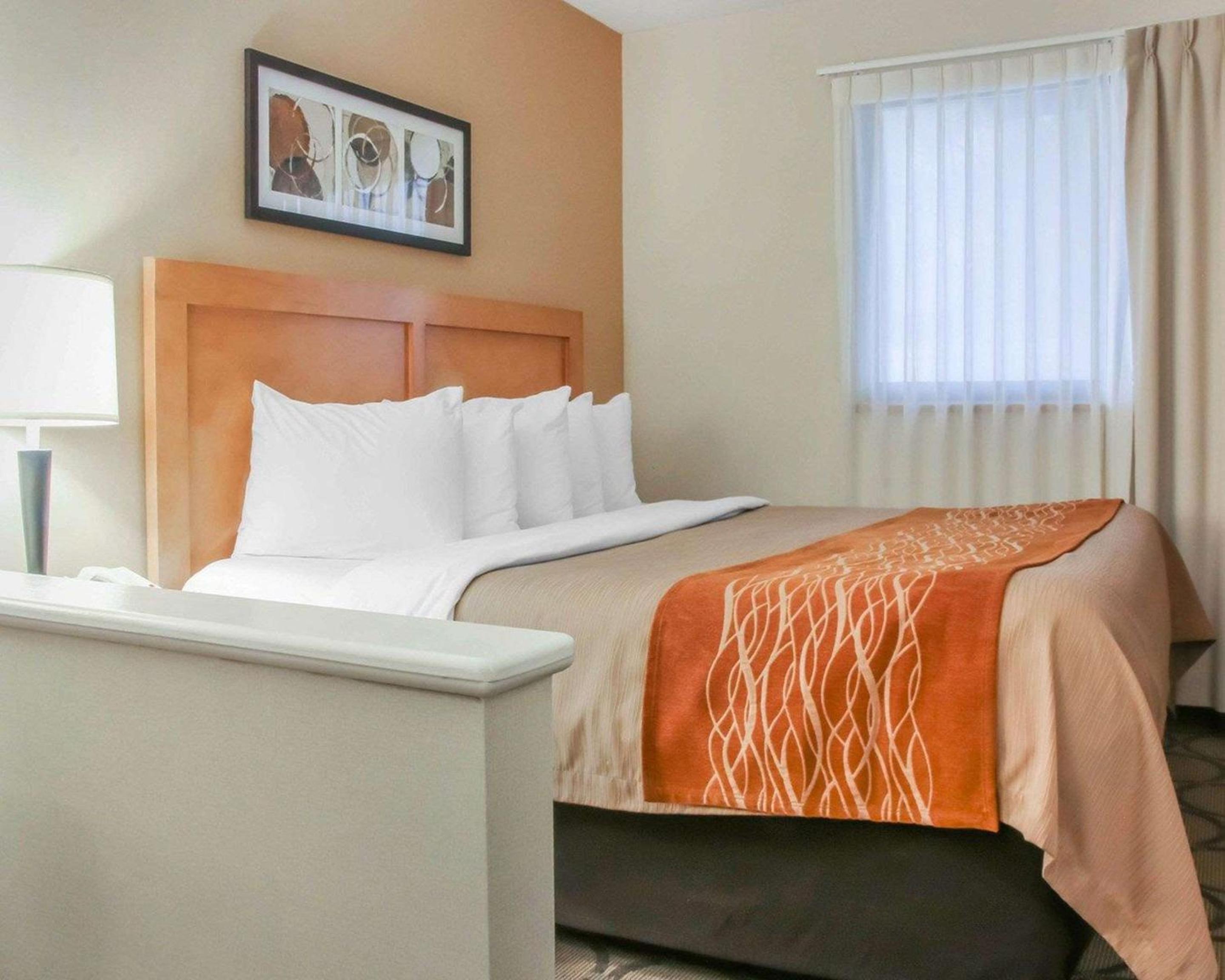 King Suite - Ground Floor - Photo 4