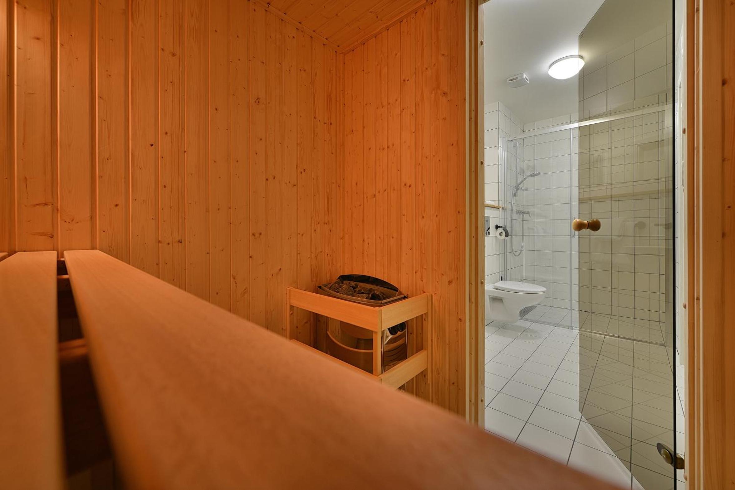 Deluxe Two-Bedroom Apartment with Sauna - Photo 17