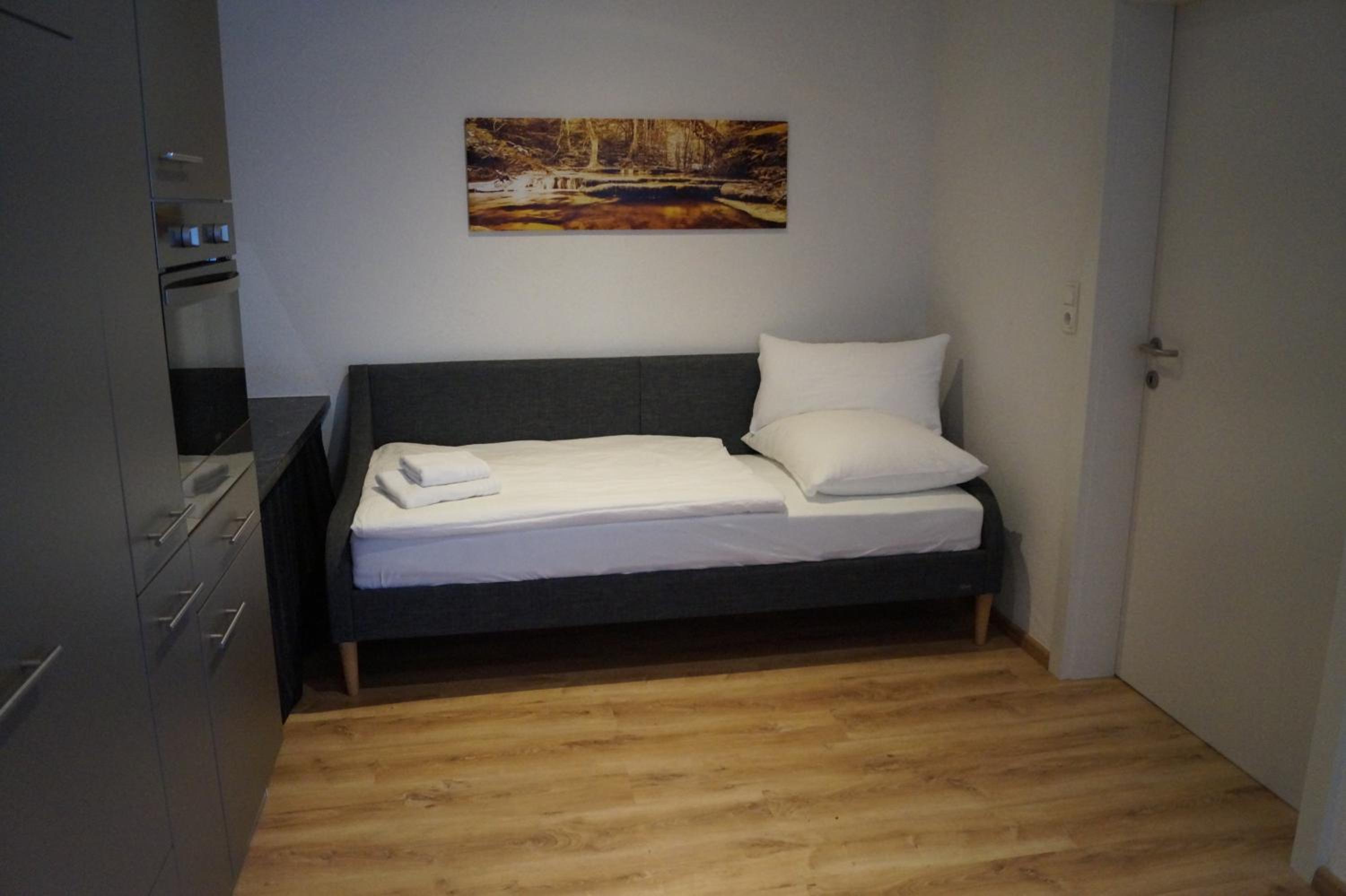 Standard Apartment photo 3