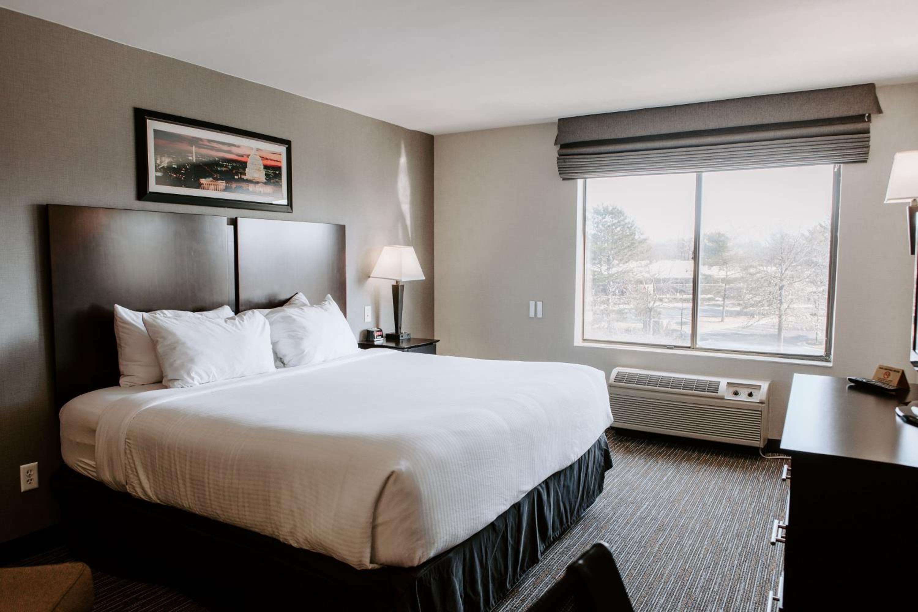 King Room - Disability Access/Non-Smoking - Photo 4
