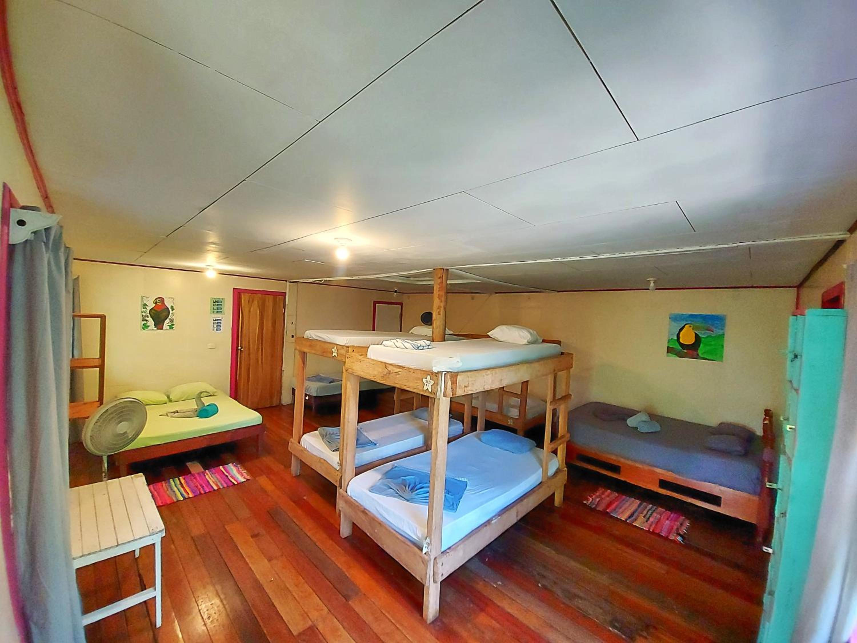 Bunk Bed in Mixed Dormitory Room photo 1