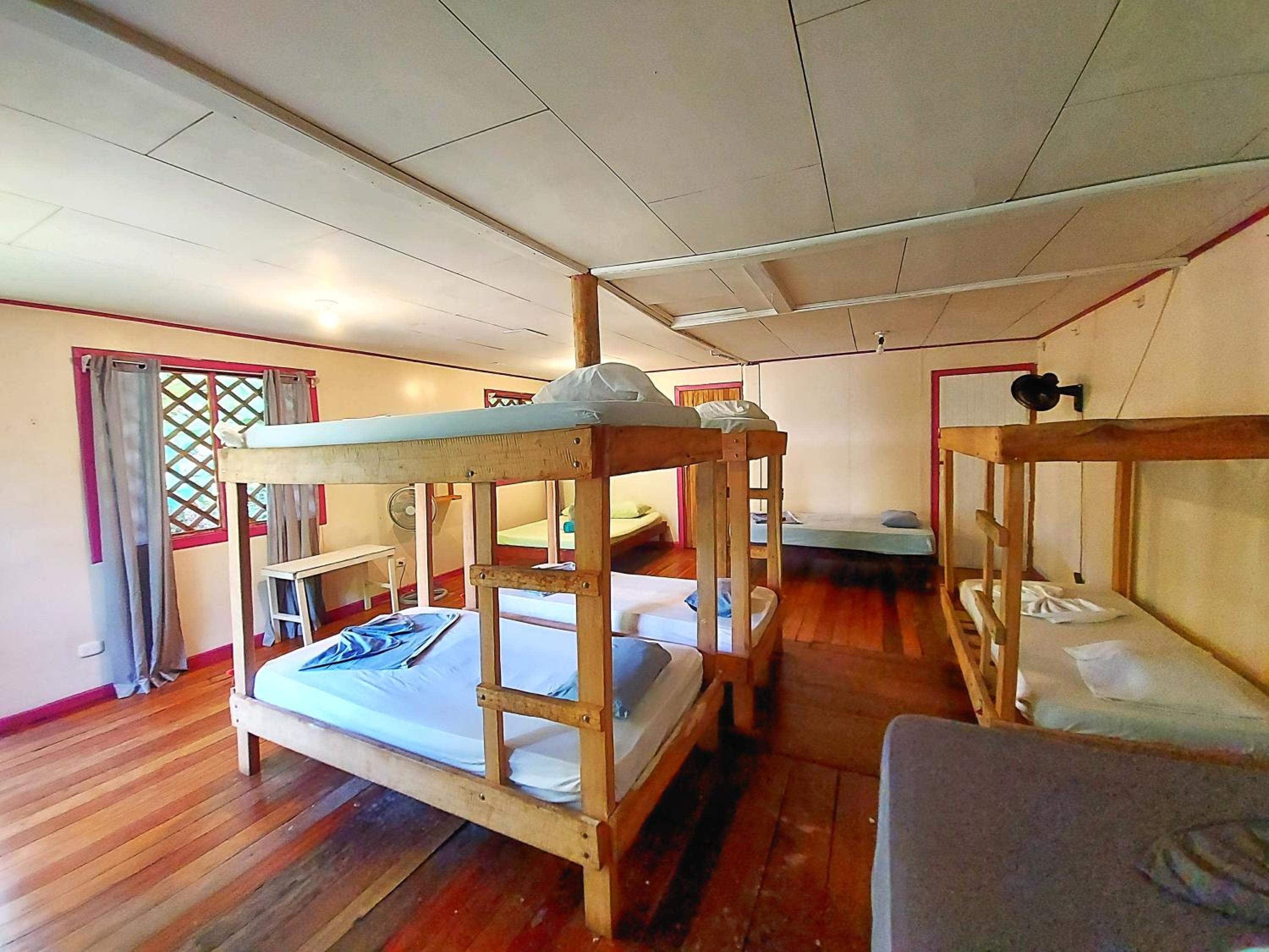 Bed In 8-Bed Mixed Dormitory Room photo 3