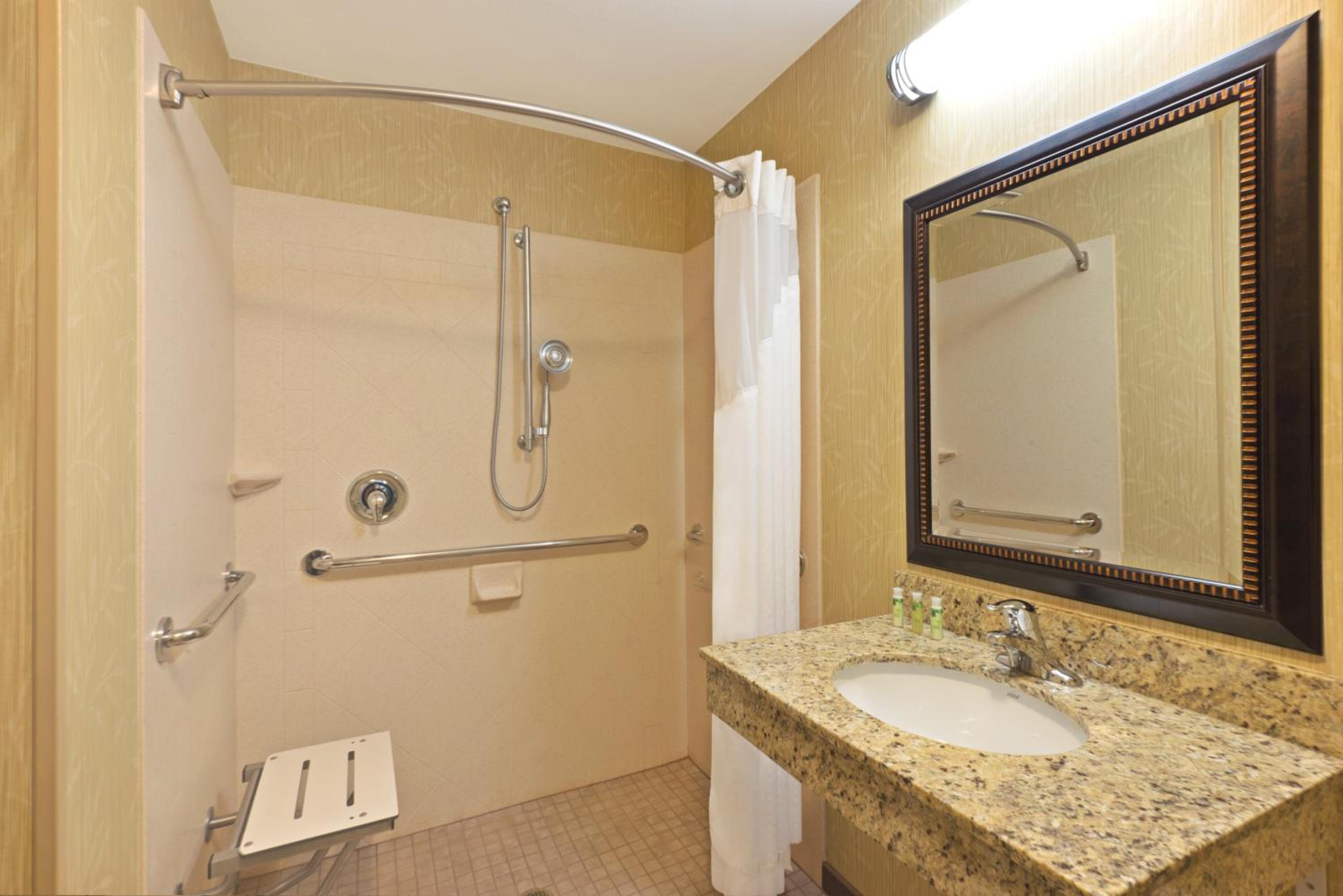 Standard King Room with Roll-in Shower - Mobility Accessible photo 2