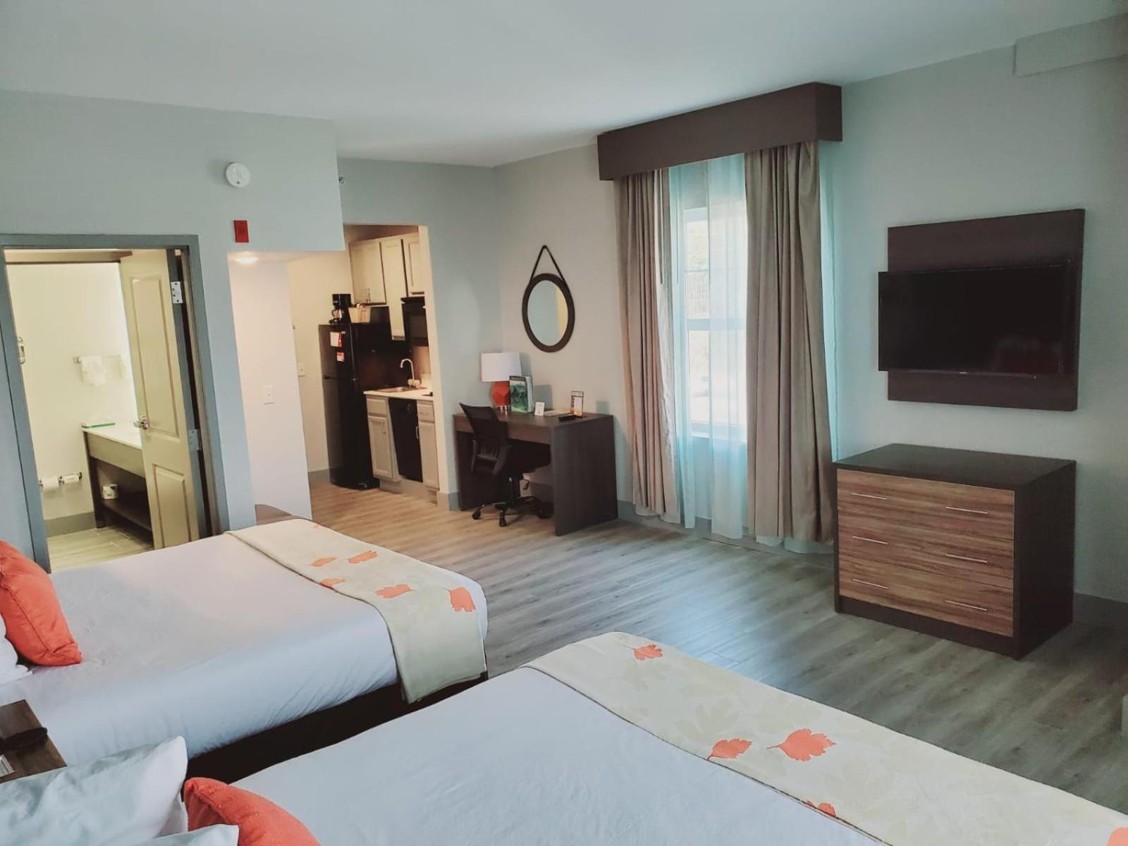 Studio Suite with Two Queen Beds - Non-Smoking - Photo 1