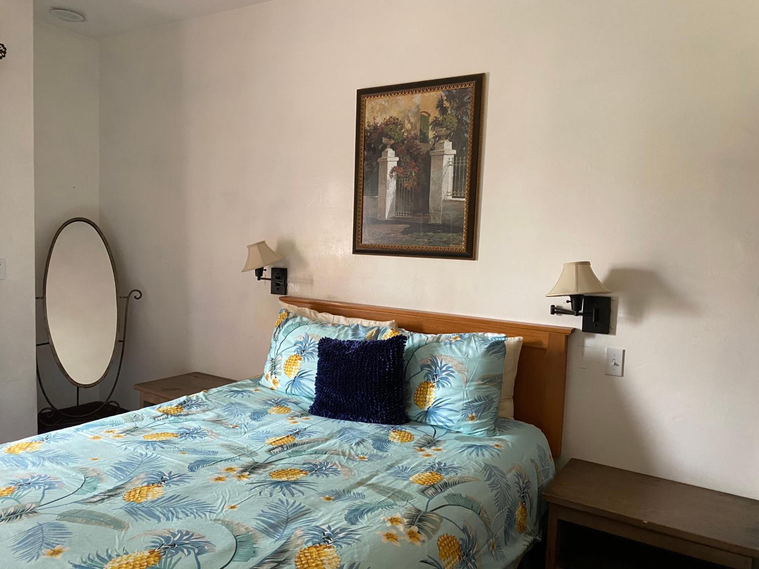 Deluxe King Suite - Photo 20