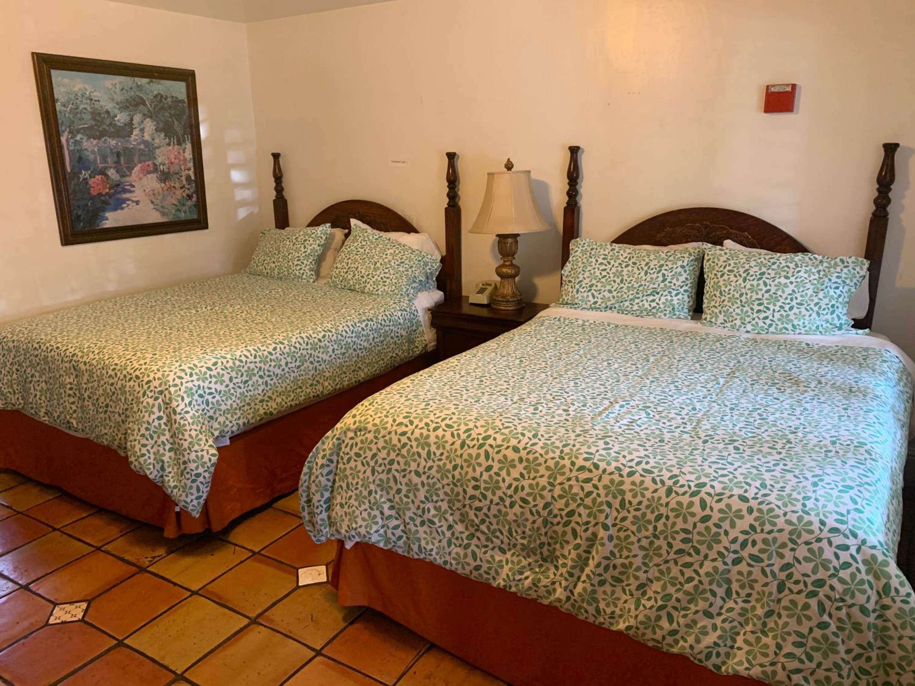 Queen Room - Disability Access - Photo 1