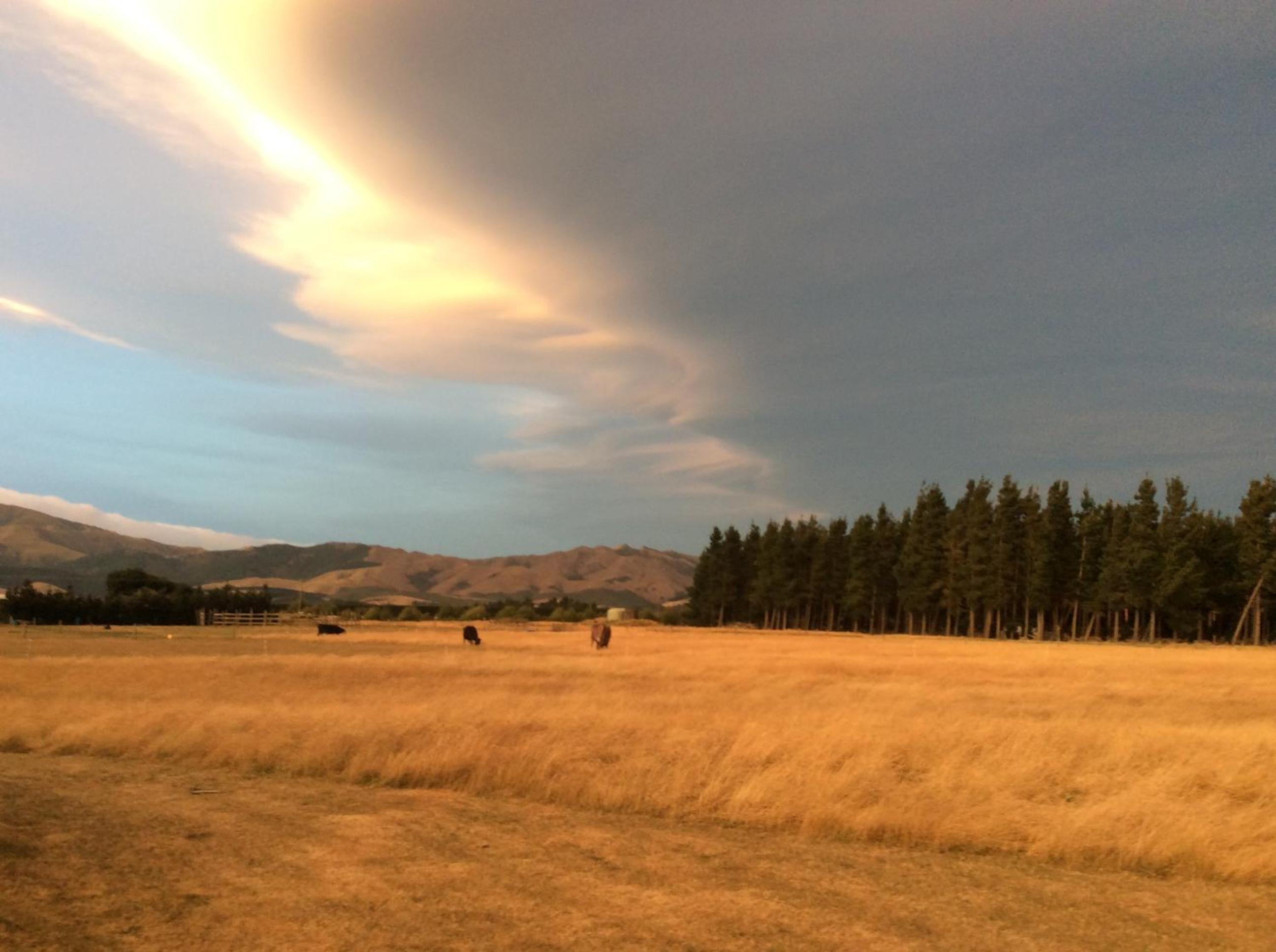 Vacation Home - Photo 47