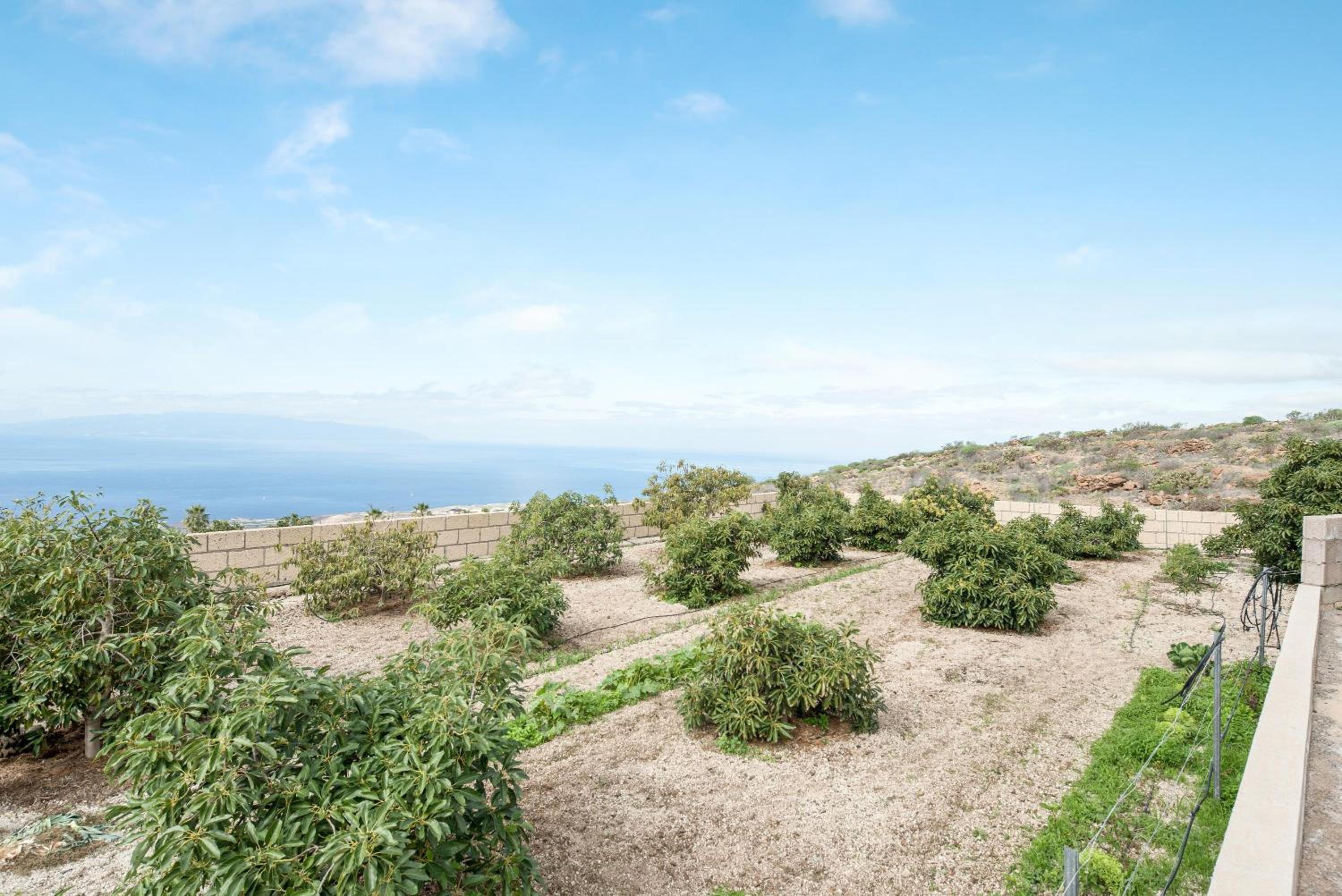 Villa with Sea View - Photo 20