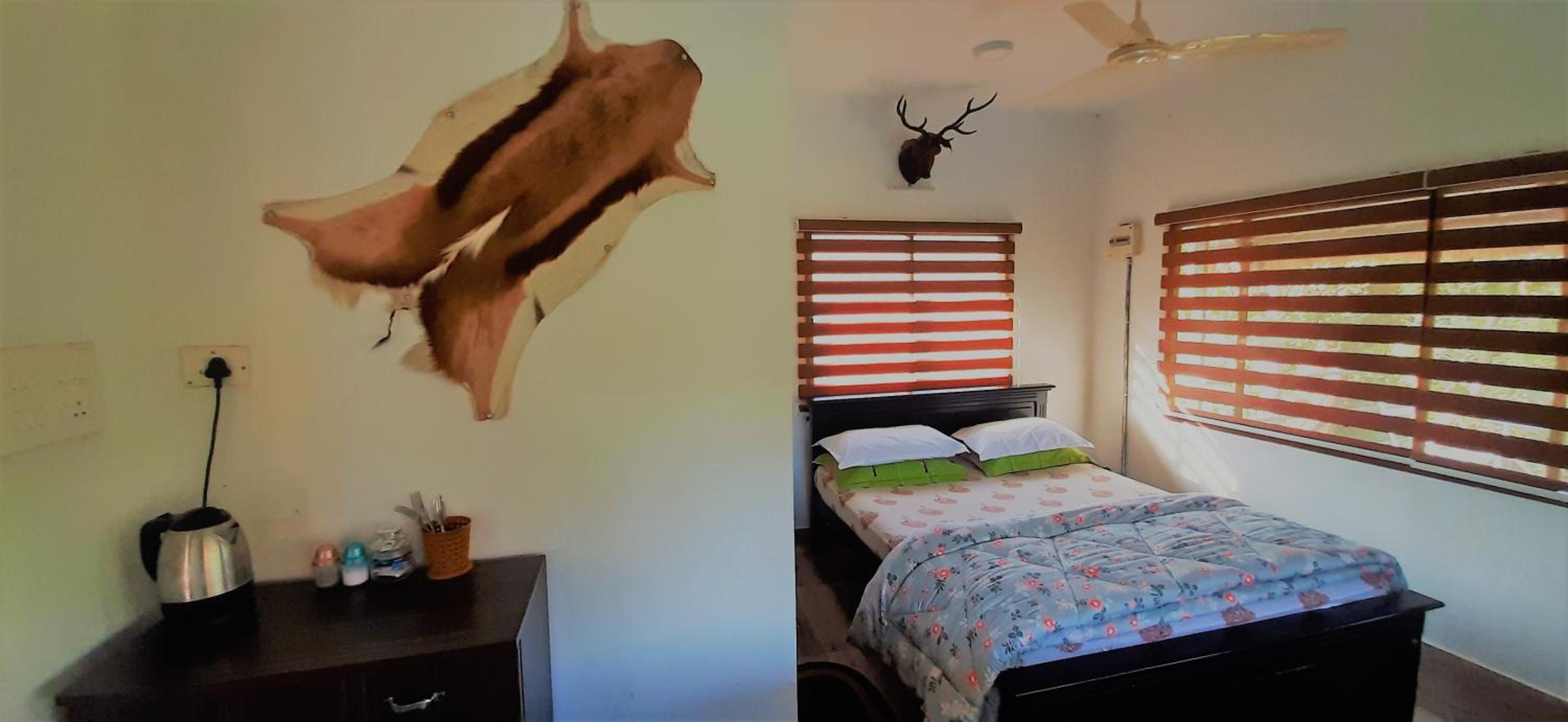 Double Room - Photo 1