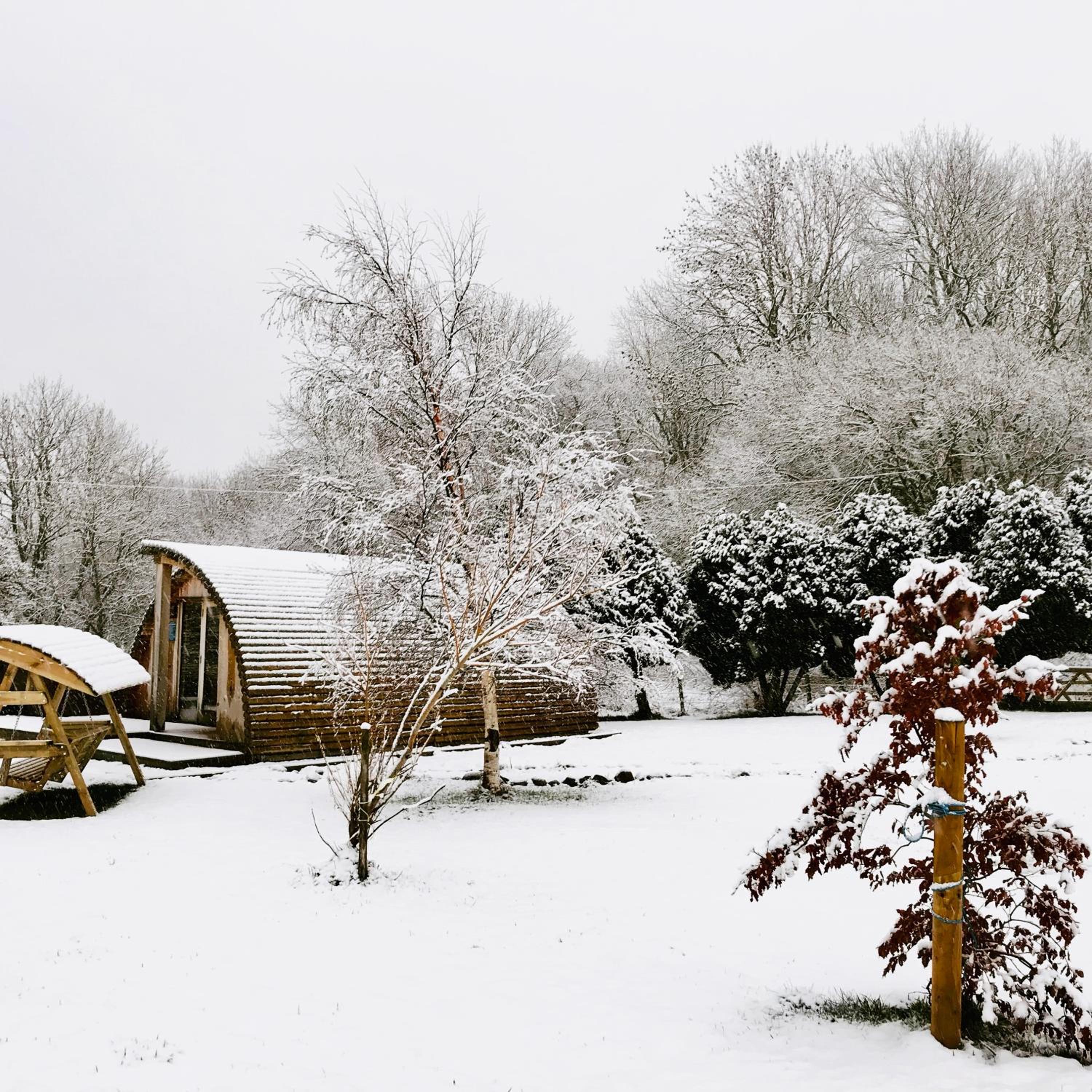 Chalet photo 3