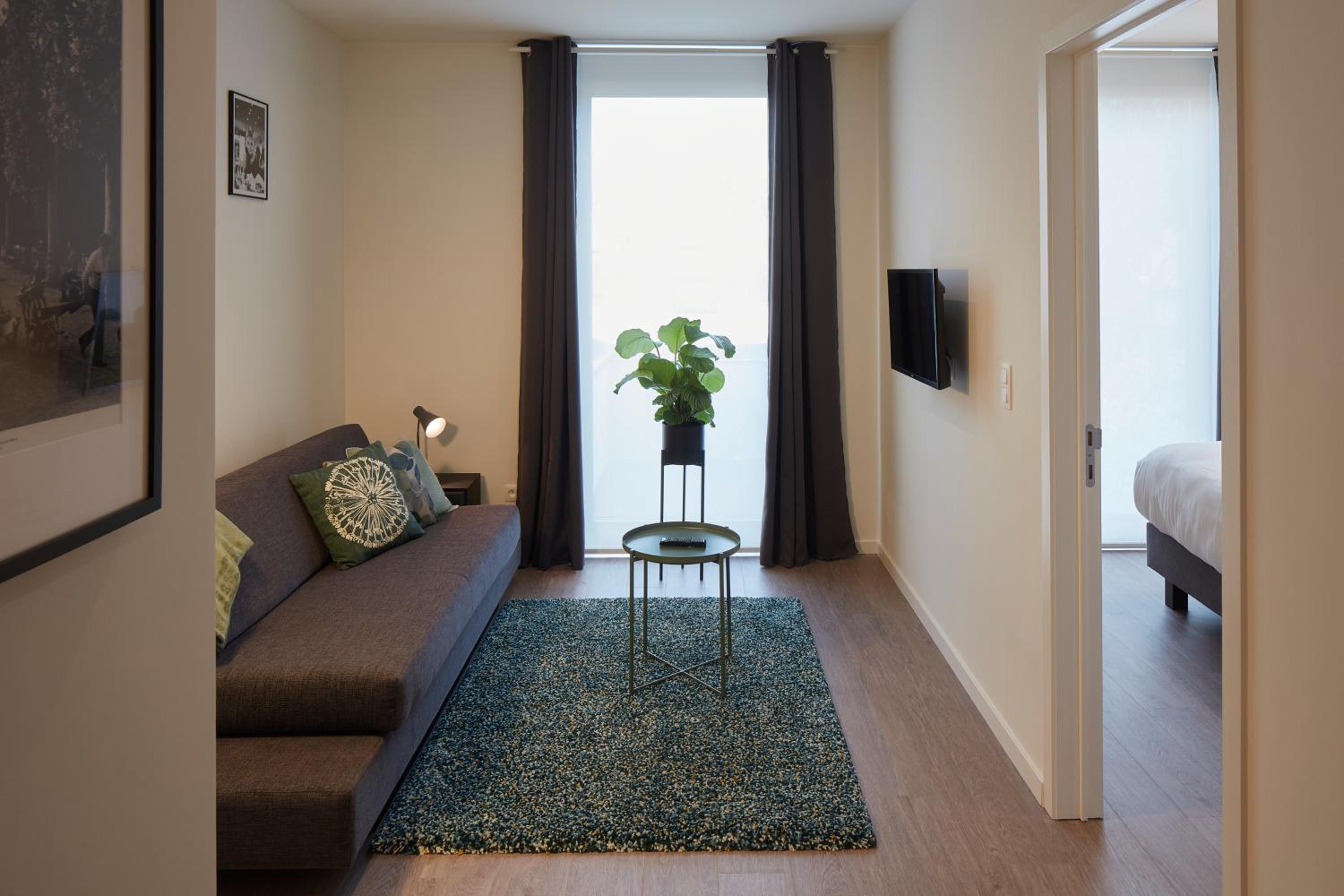 Deluxe Apartment