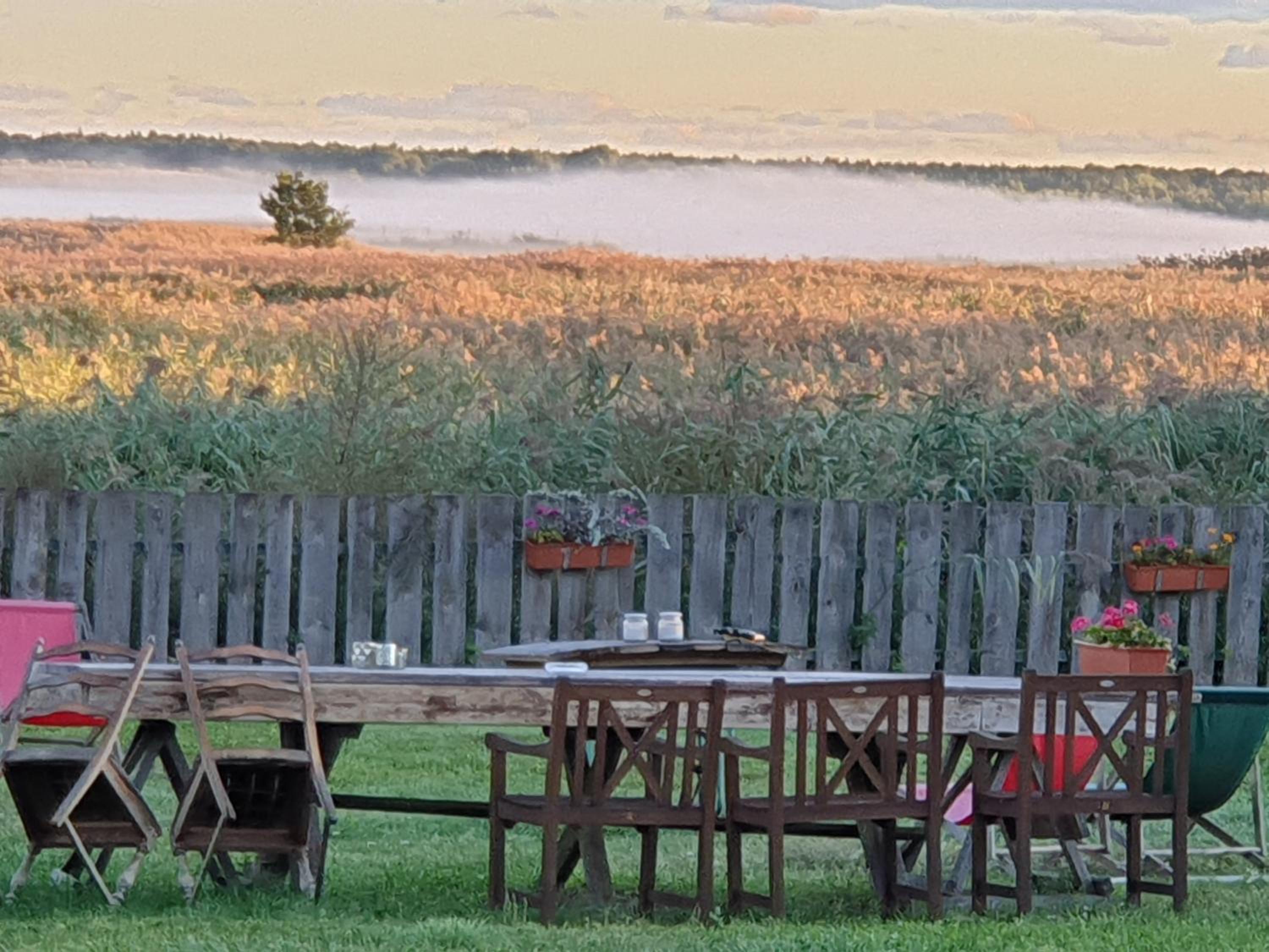 Standard Twin Room photo 2