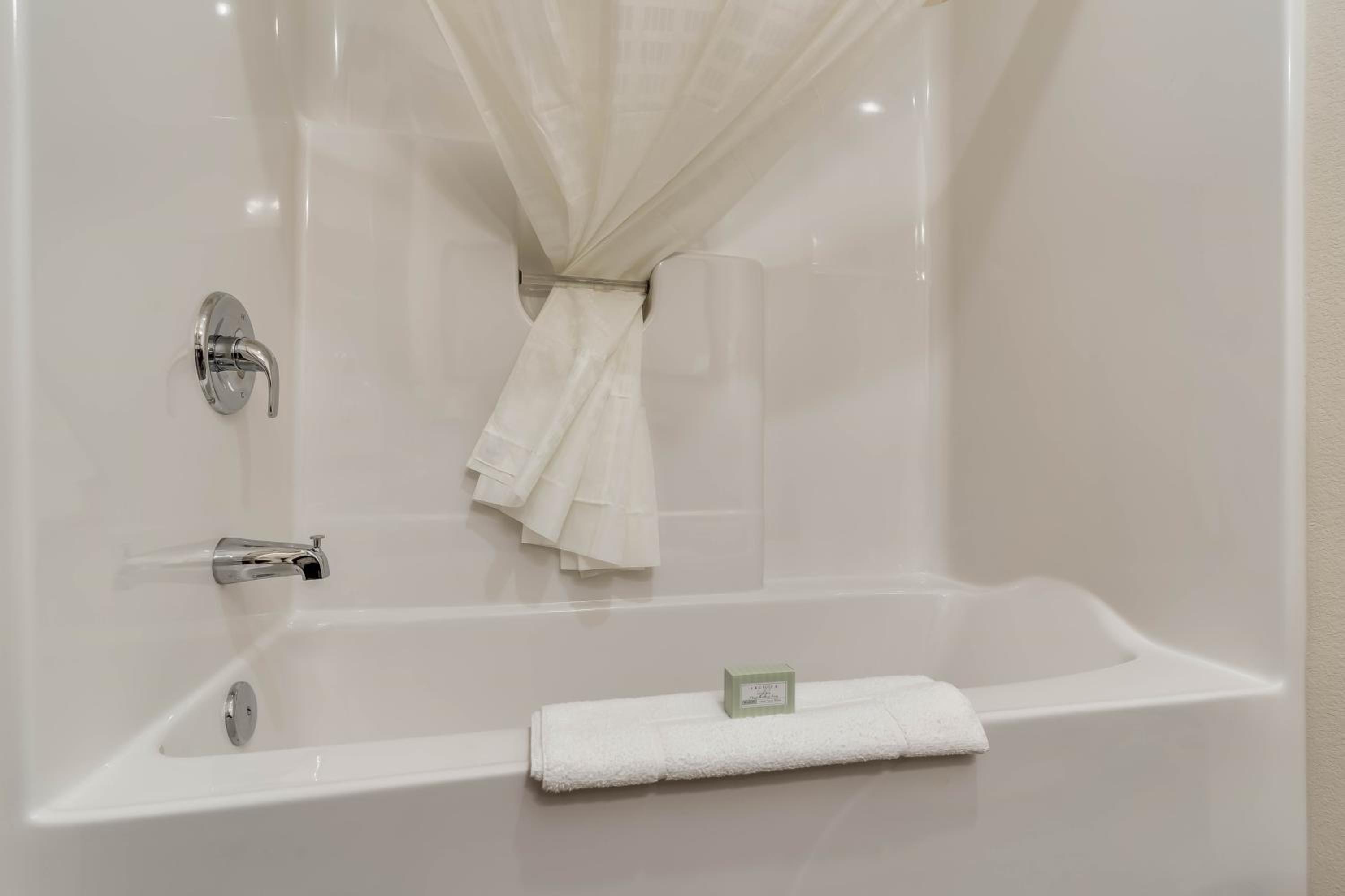 One-Bedroom Suite - Photo 4