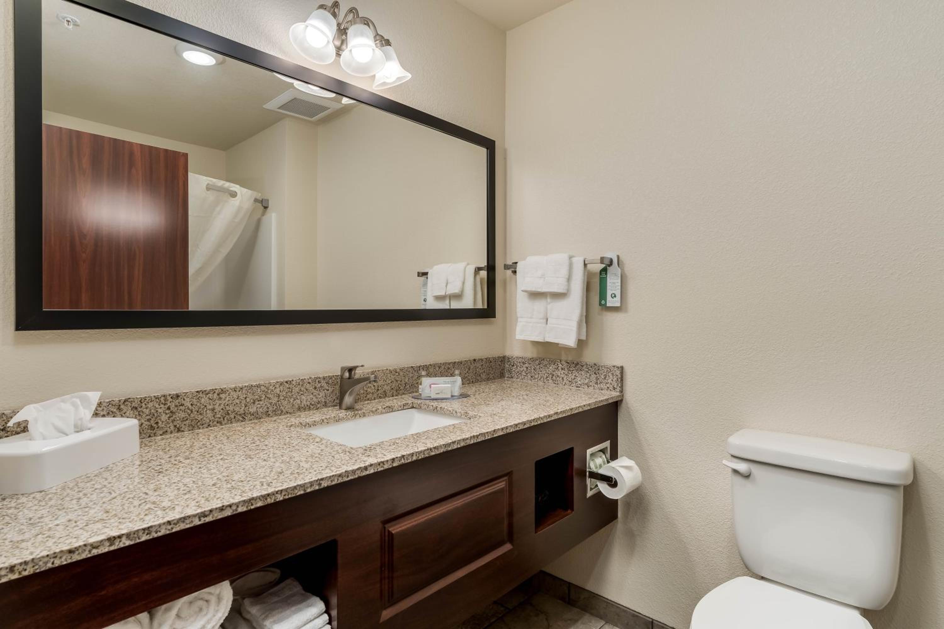 One-Bedroom Suite - Photo 5