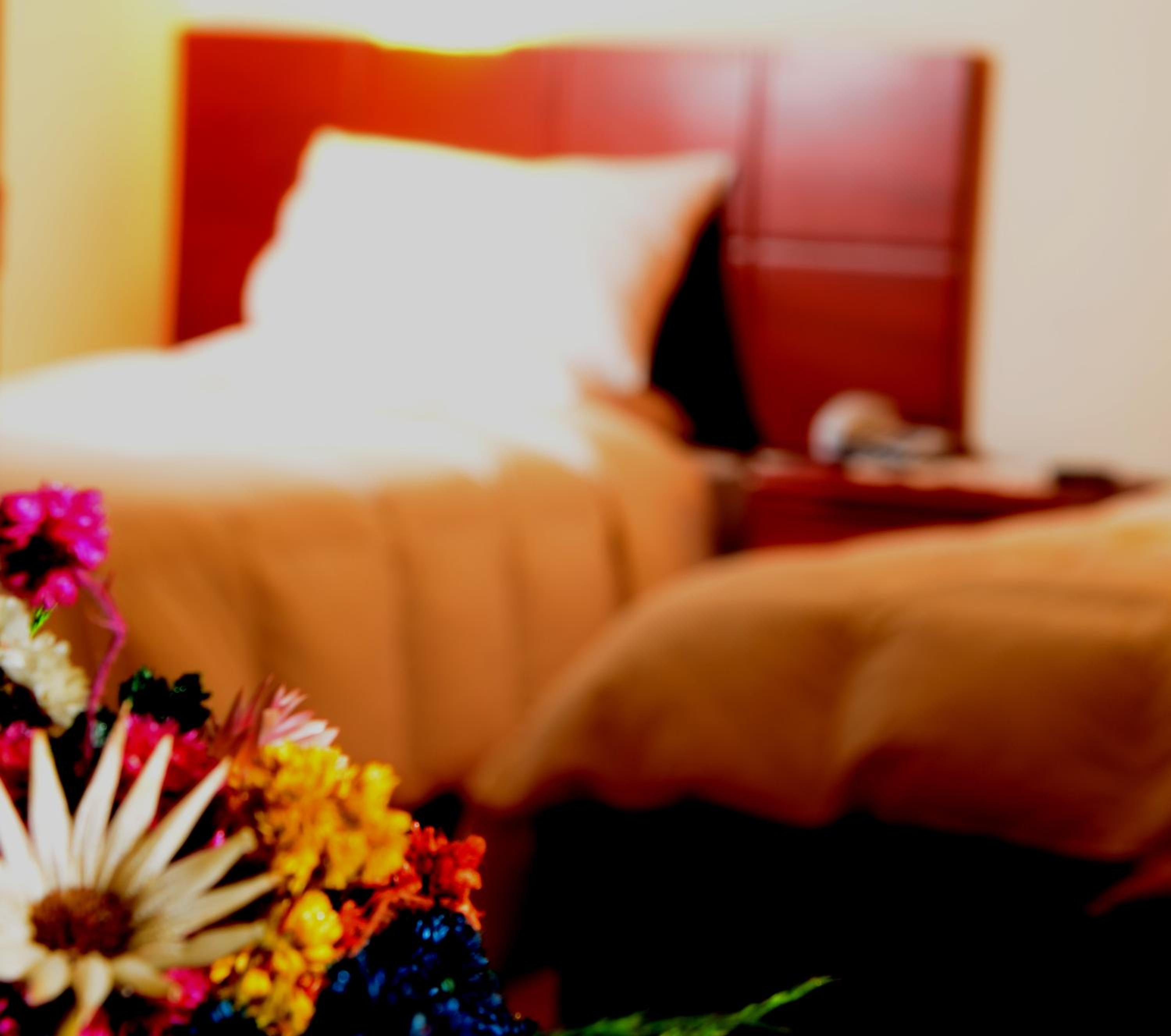 Standard Twin Room - Photo 2