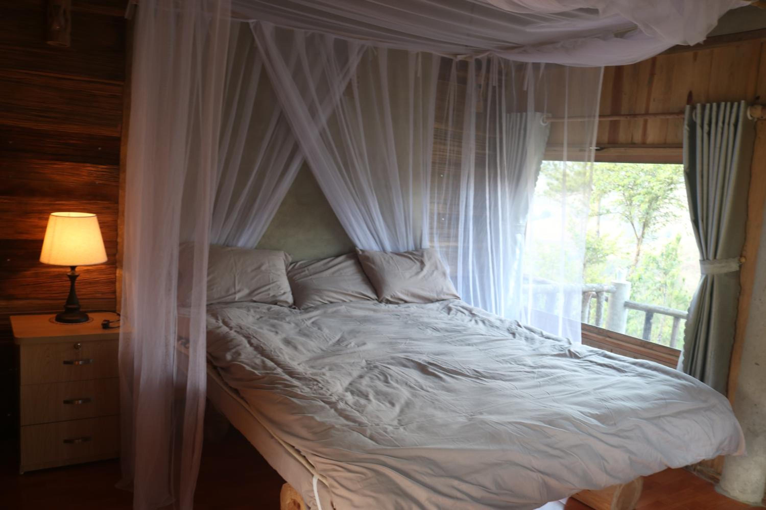 Superior Bungalow photo 3