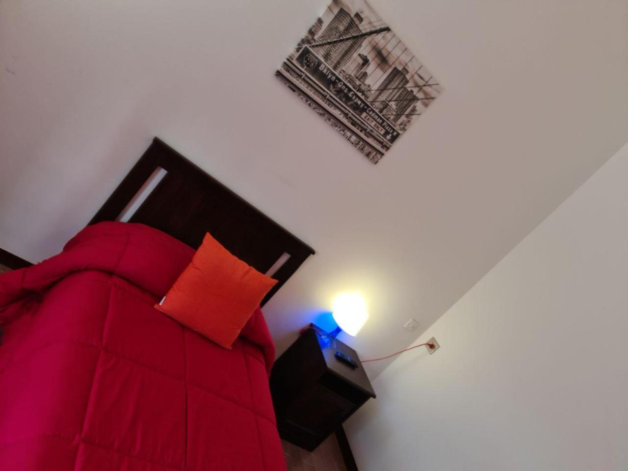 Single Room photo 1